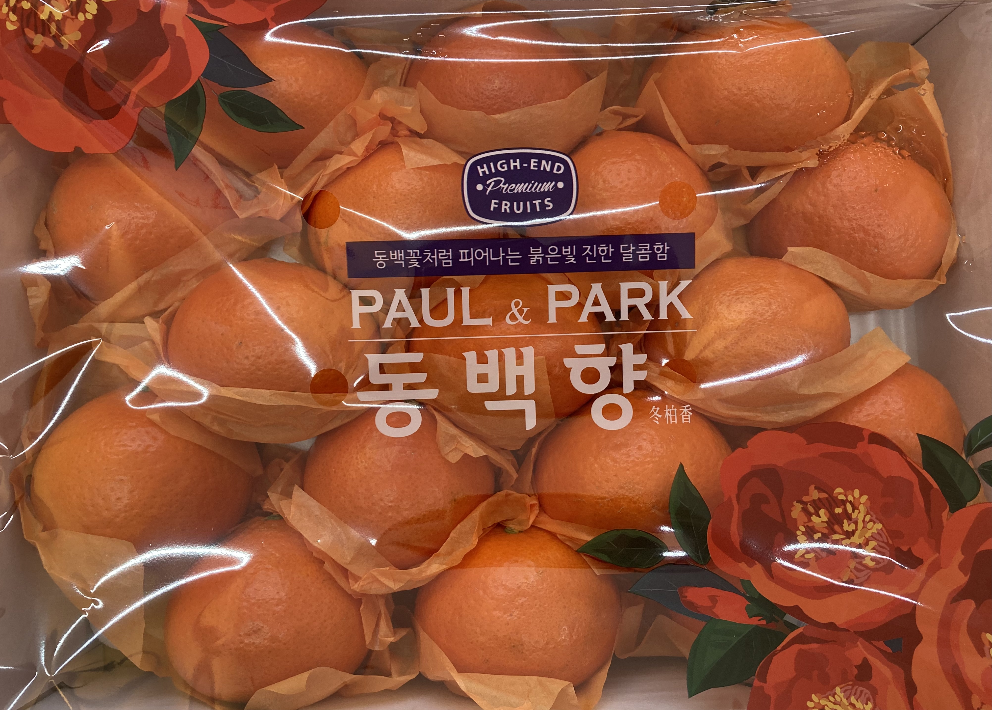 향동숲내과일전문점