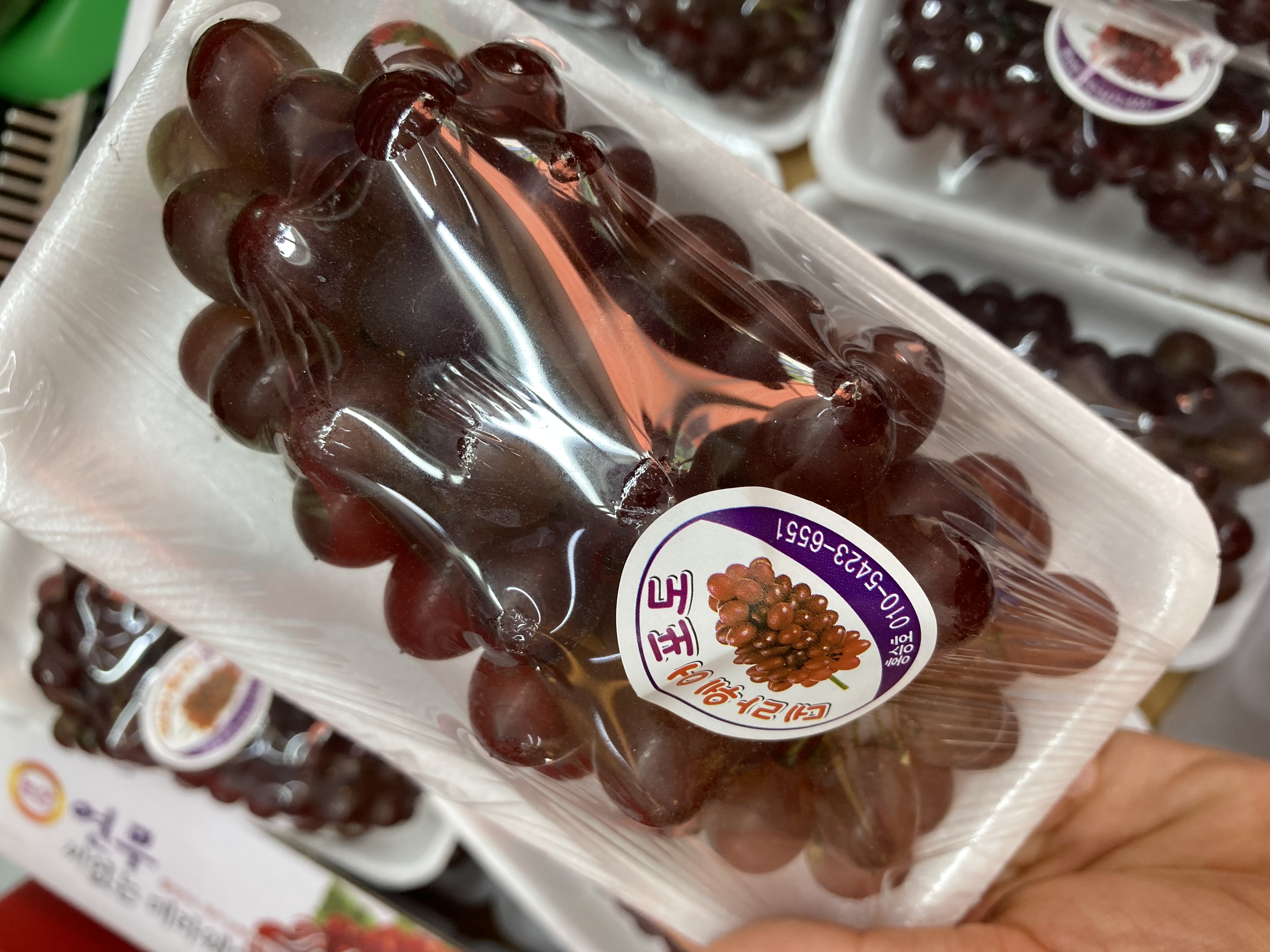 향동숲내과일전문점