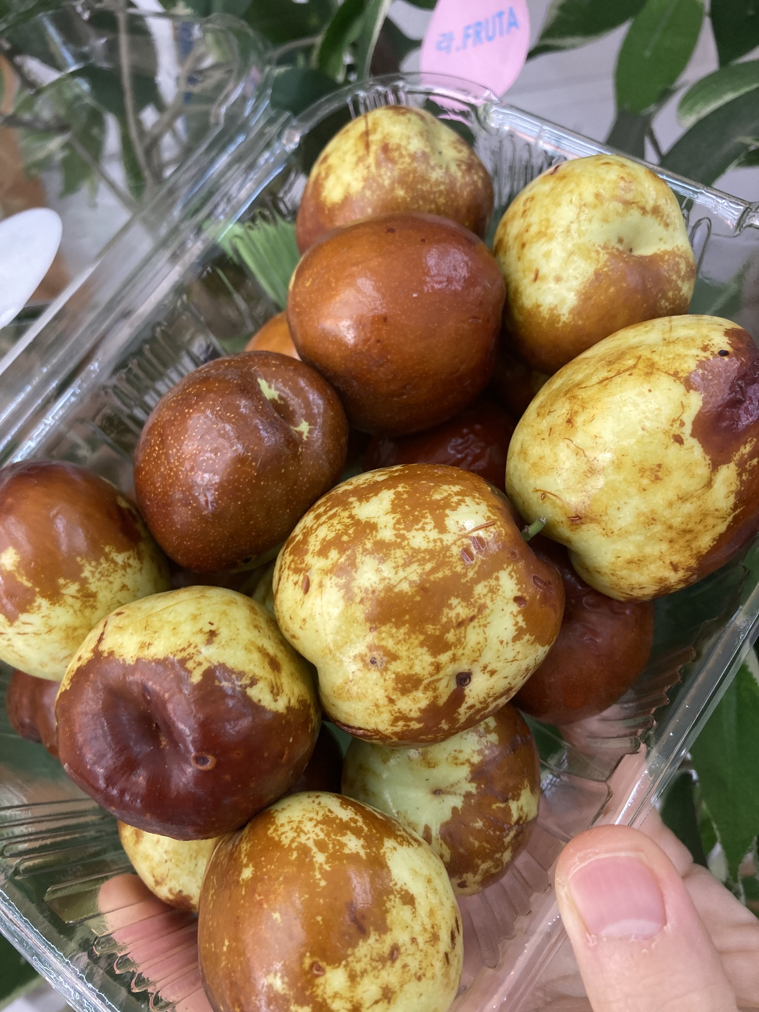 향동숲내과일전문점