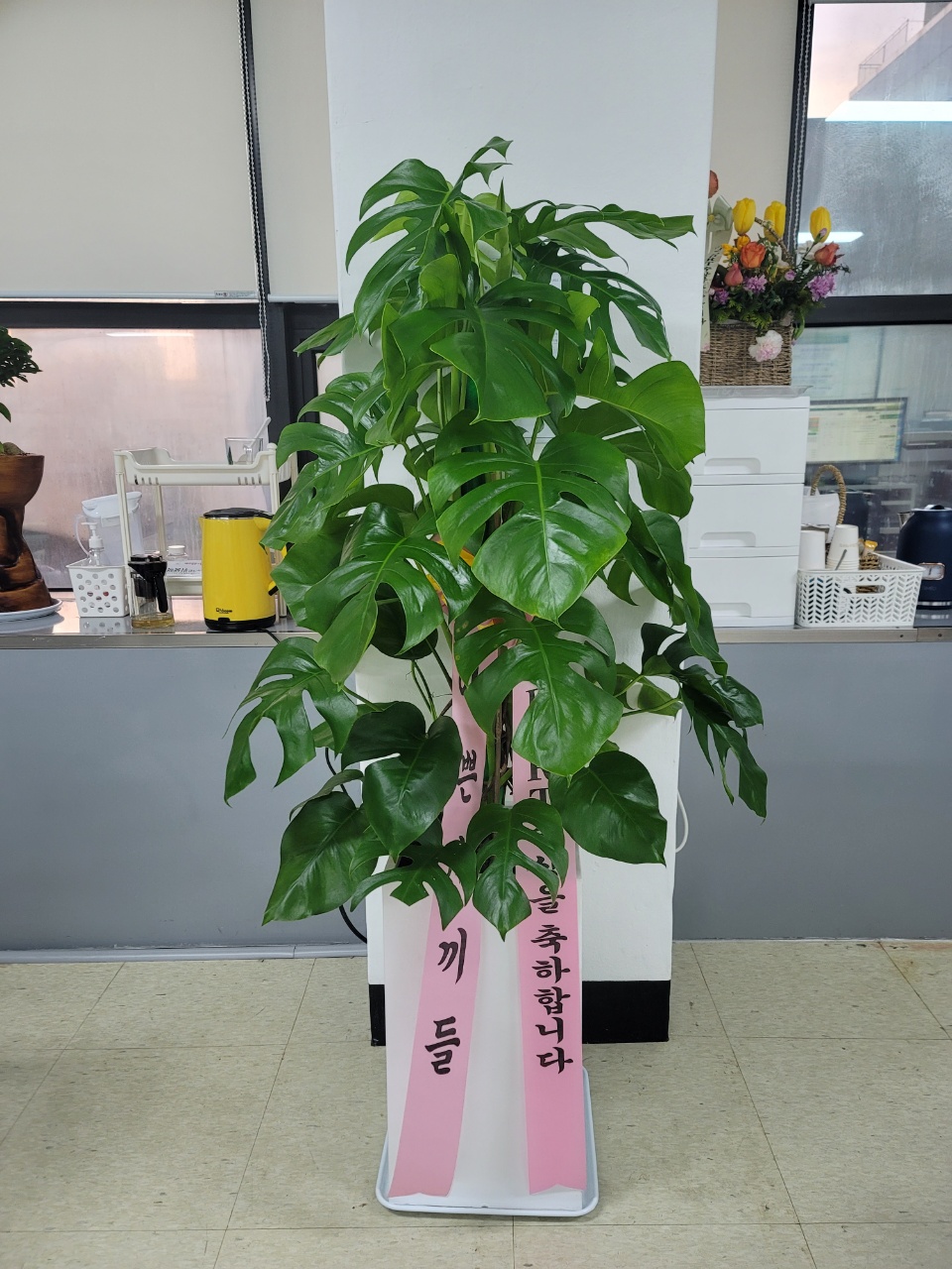 꽃나라화원