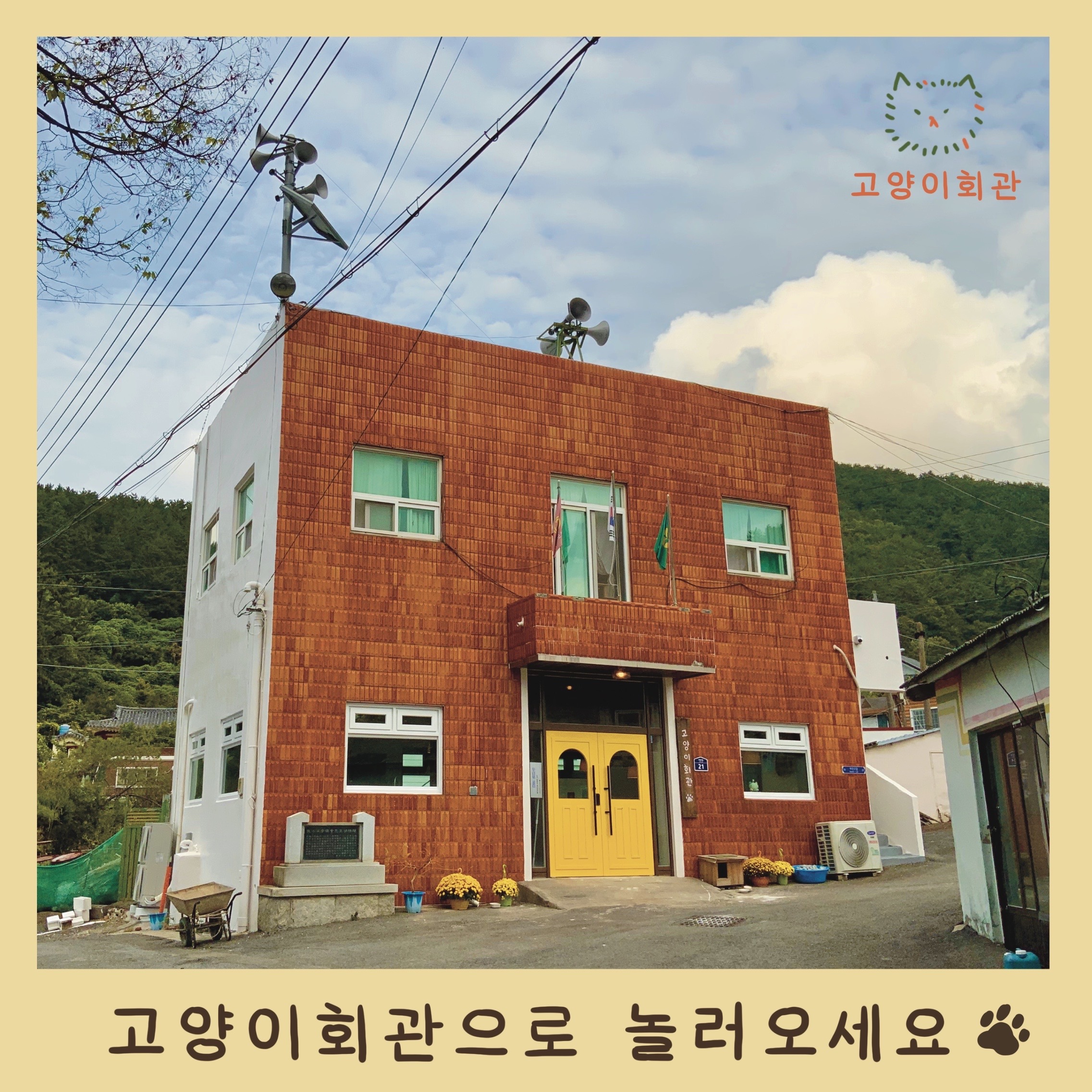 고양이회관