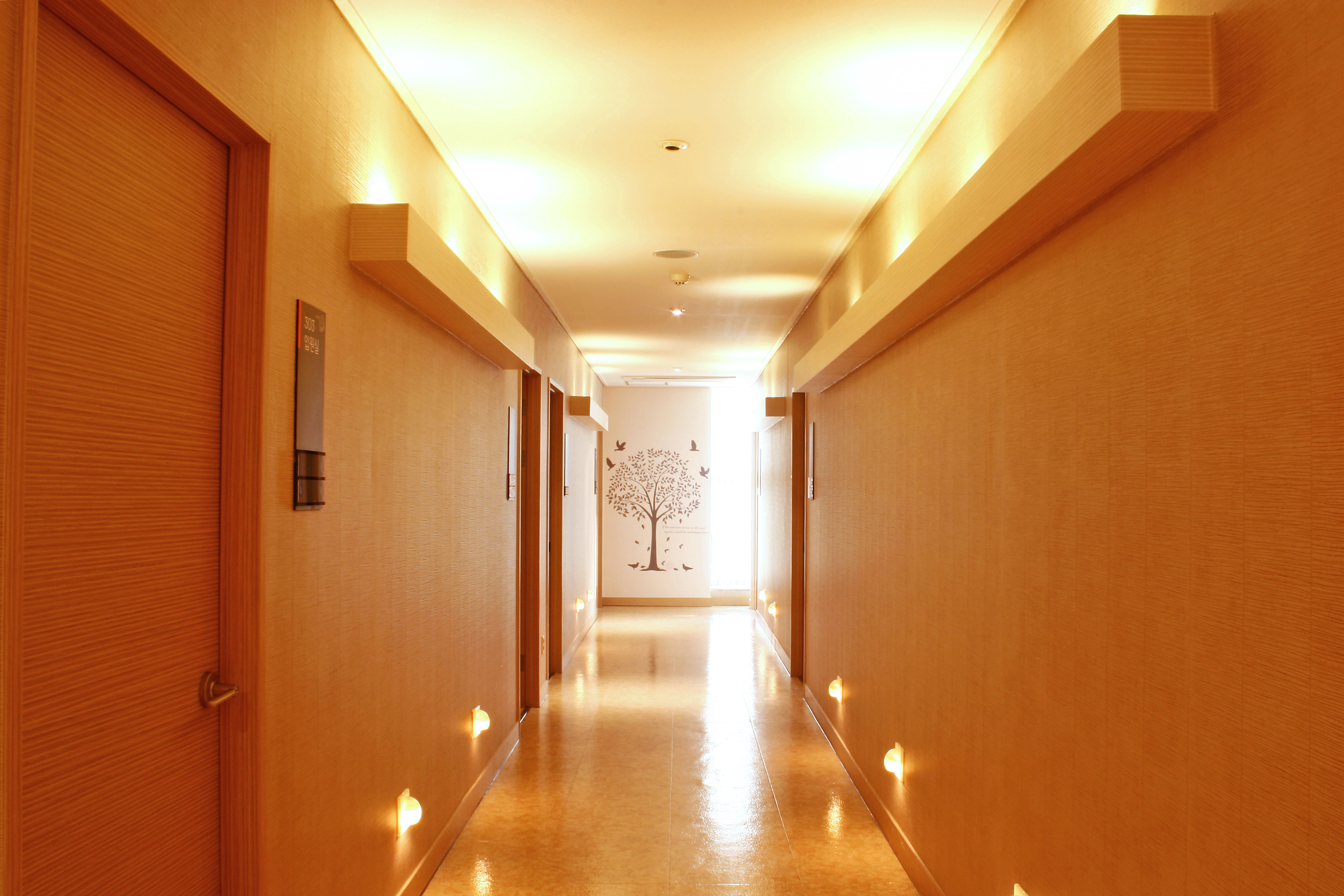 울산성모안과의원 대표 이미지