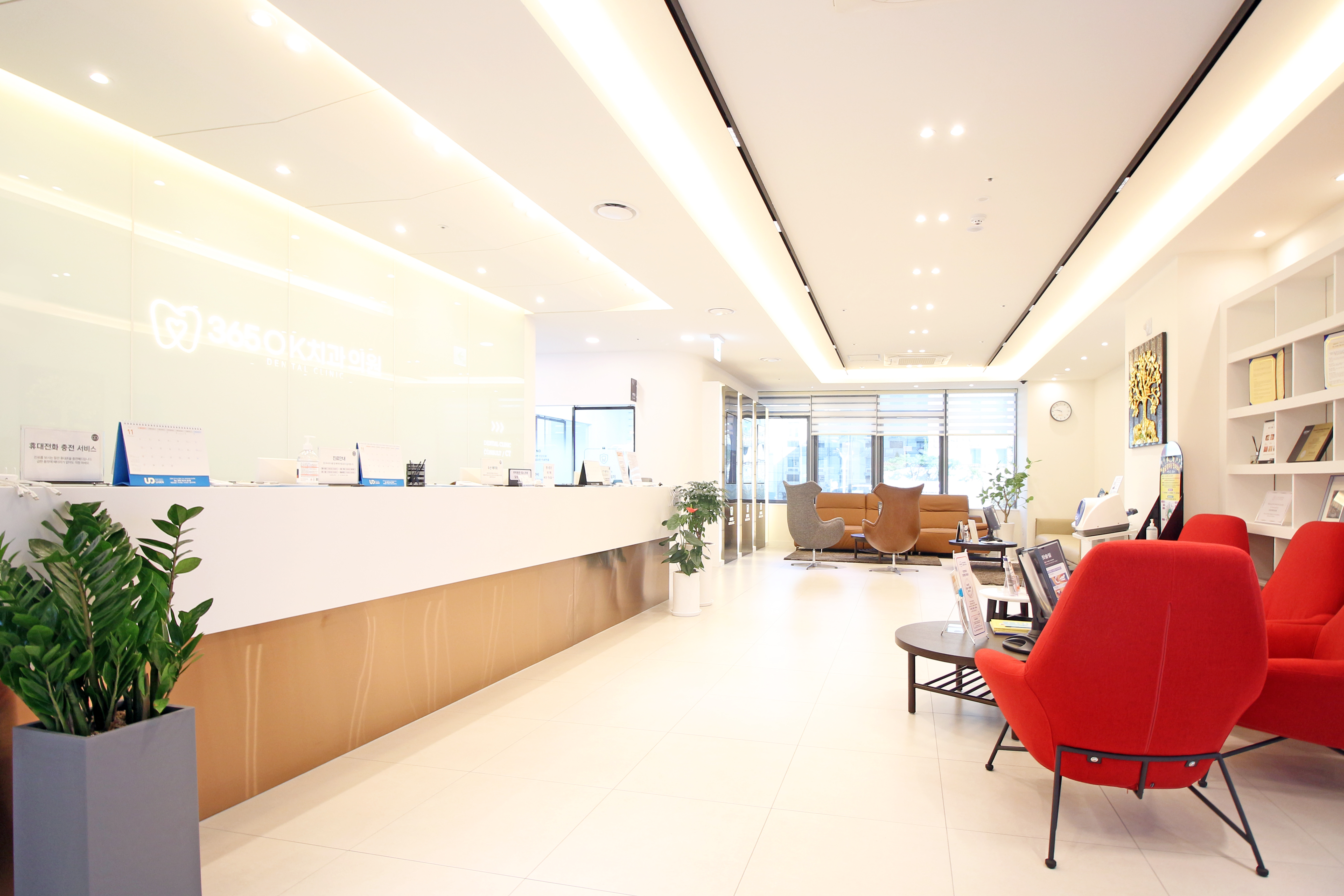 365오케이치과의원 대표 이미지