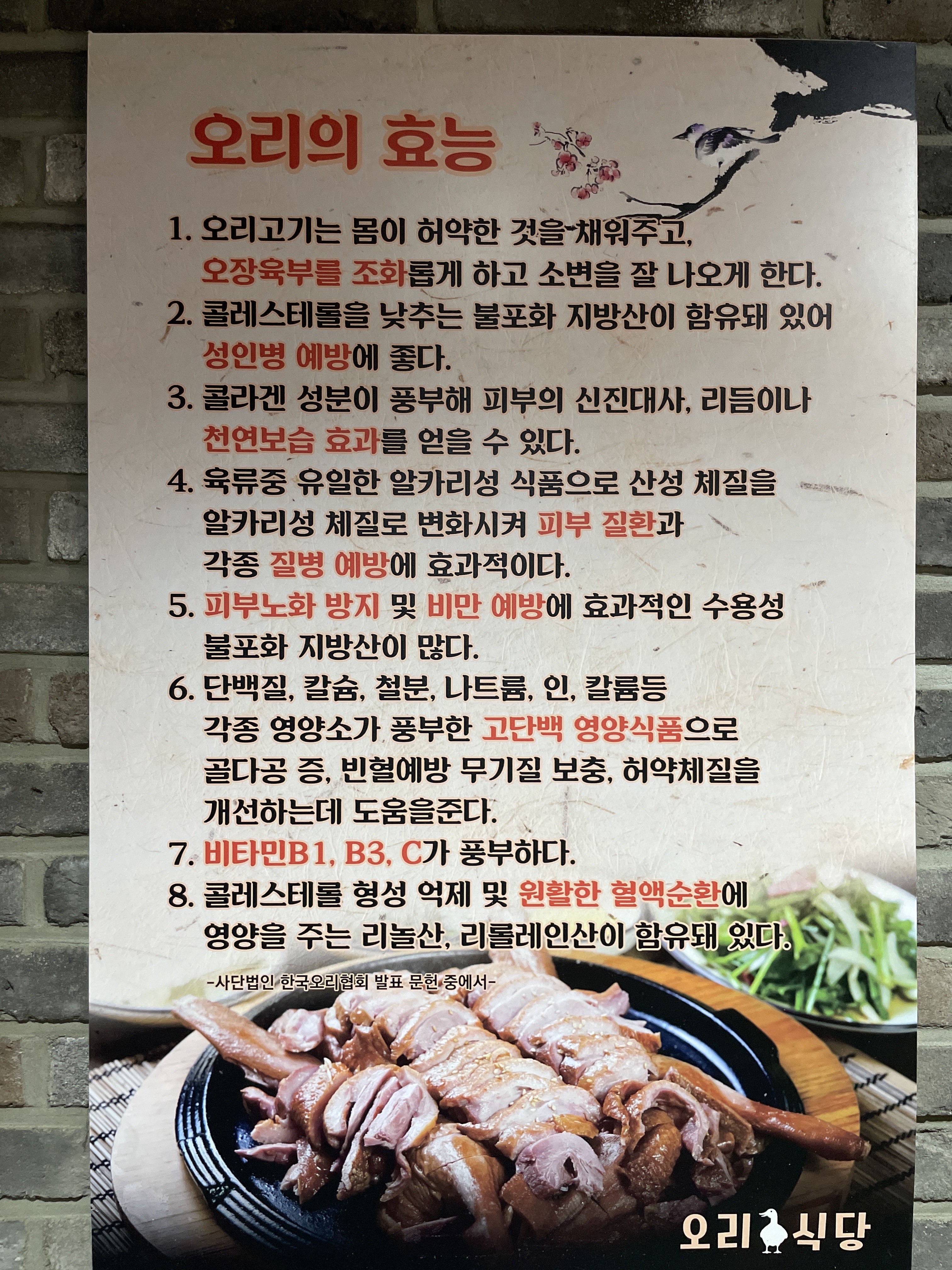 오리덕후 6