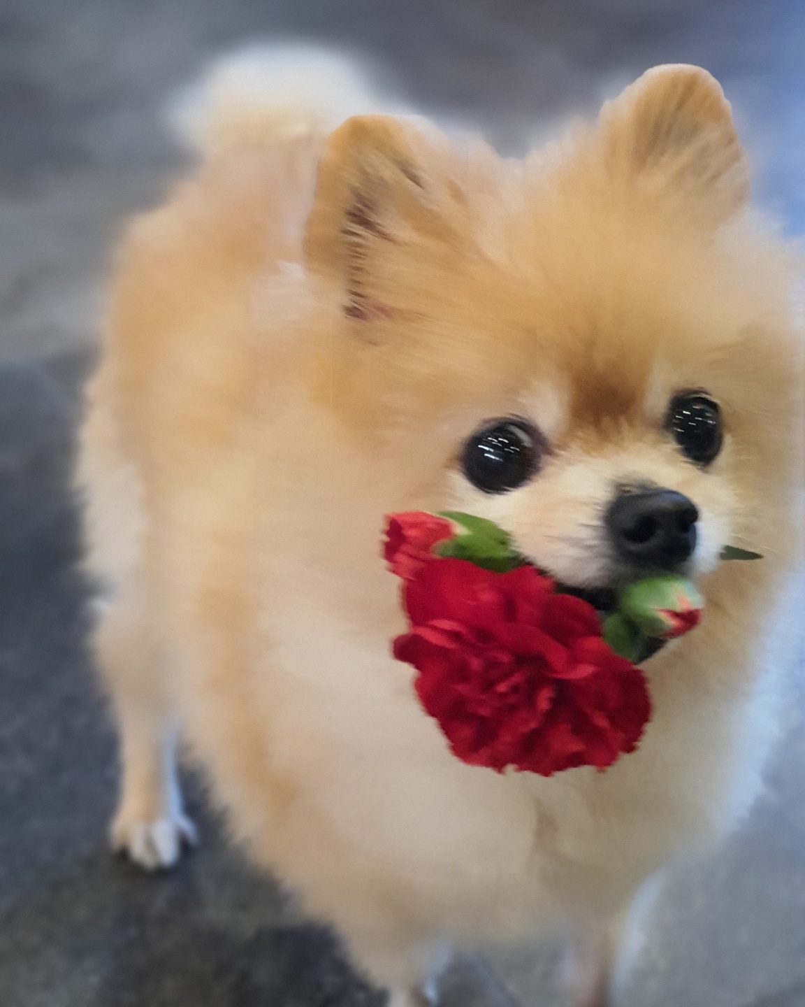 풀빛스튜디오 꽃집