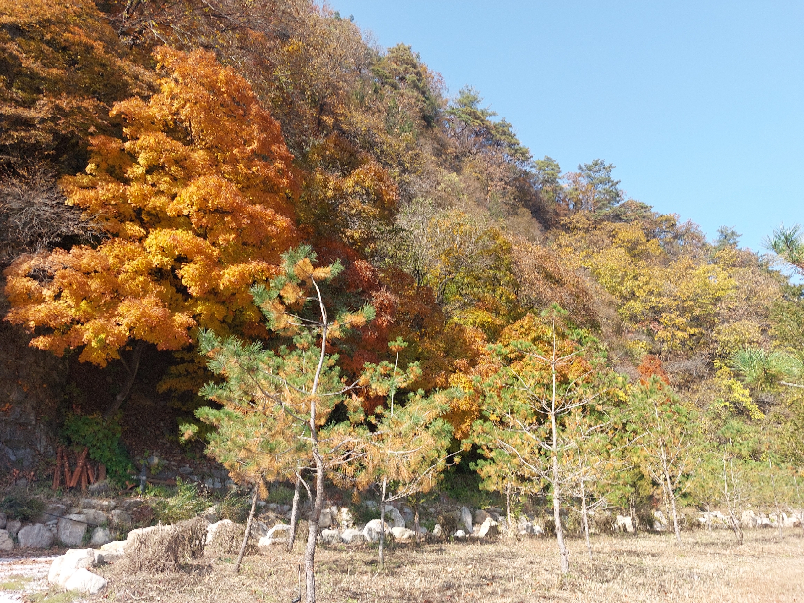 사진 3