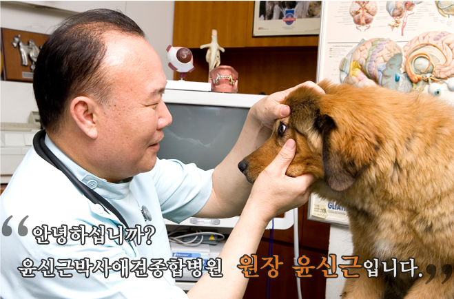 윤신근동물병원 대표 이미지