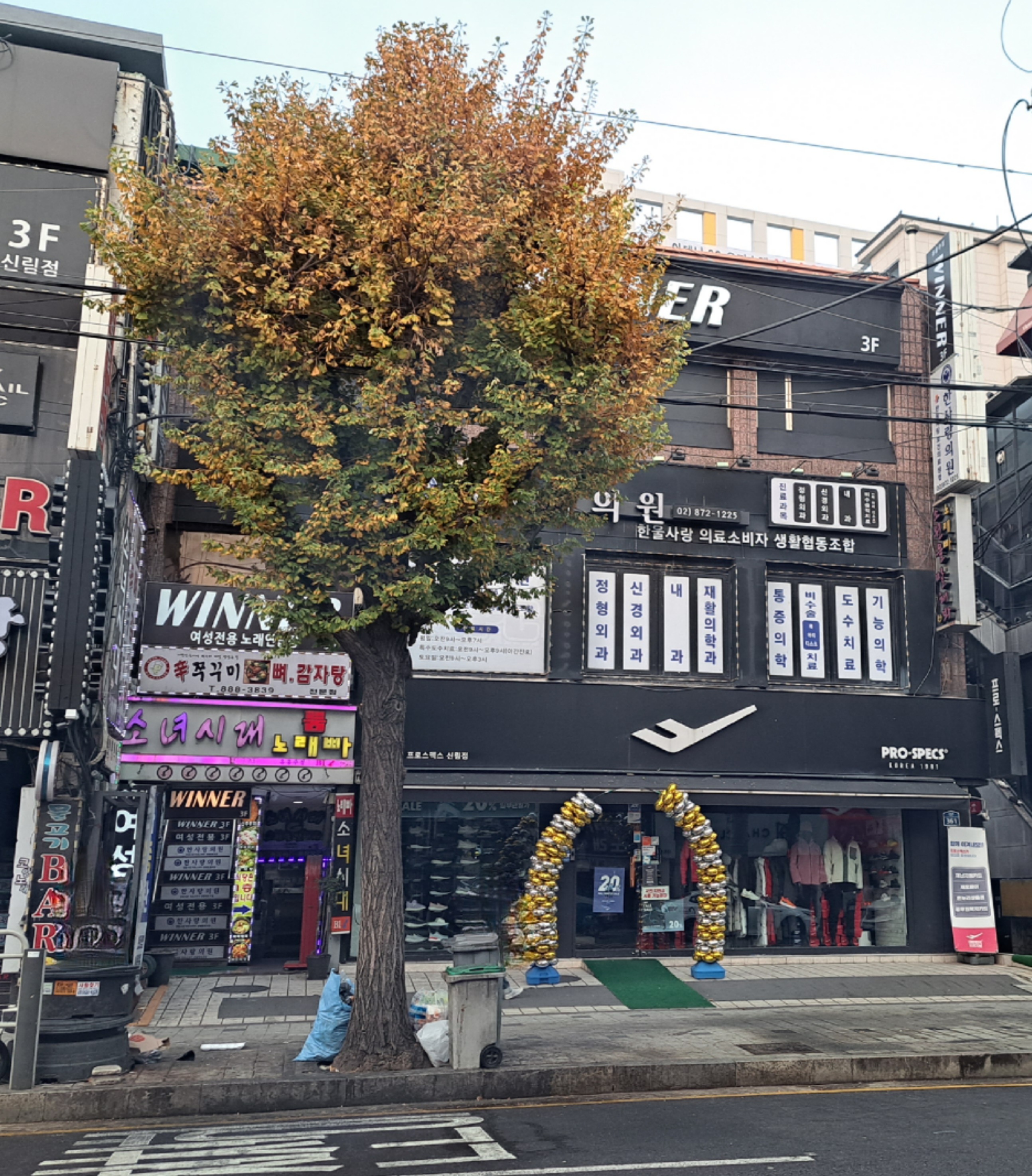 위너