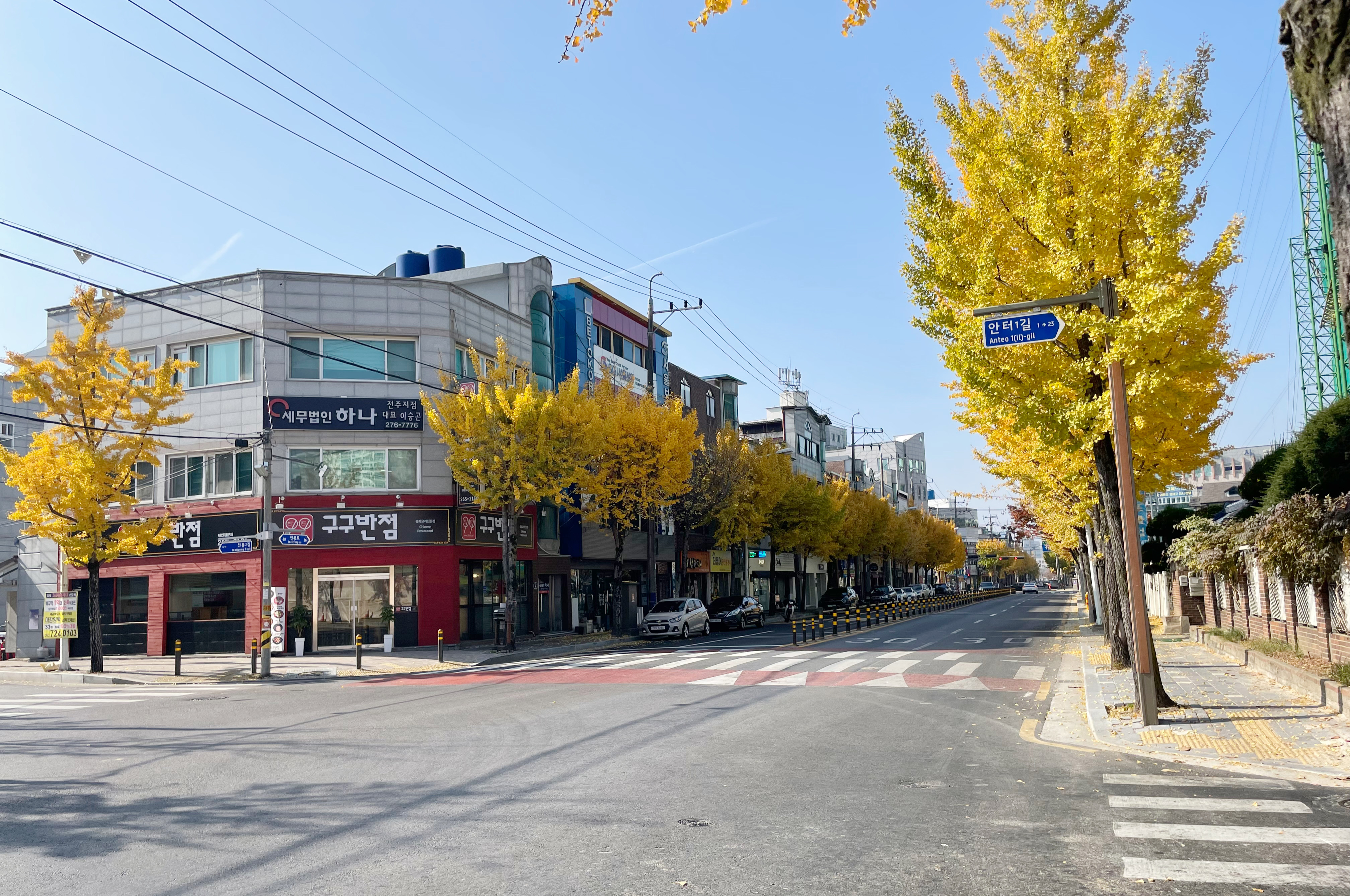 세무법인 하나 전주지점 대표 이미지