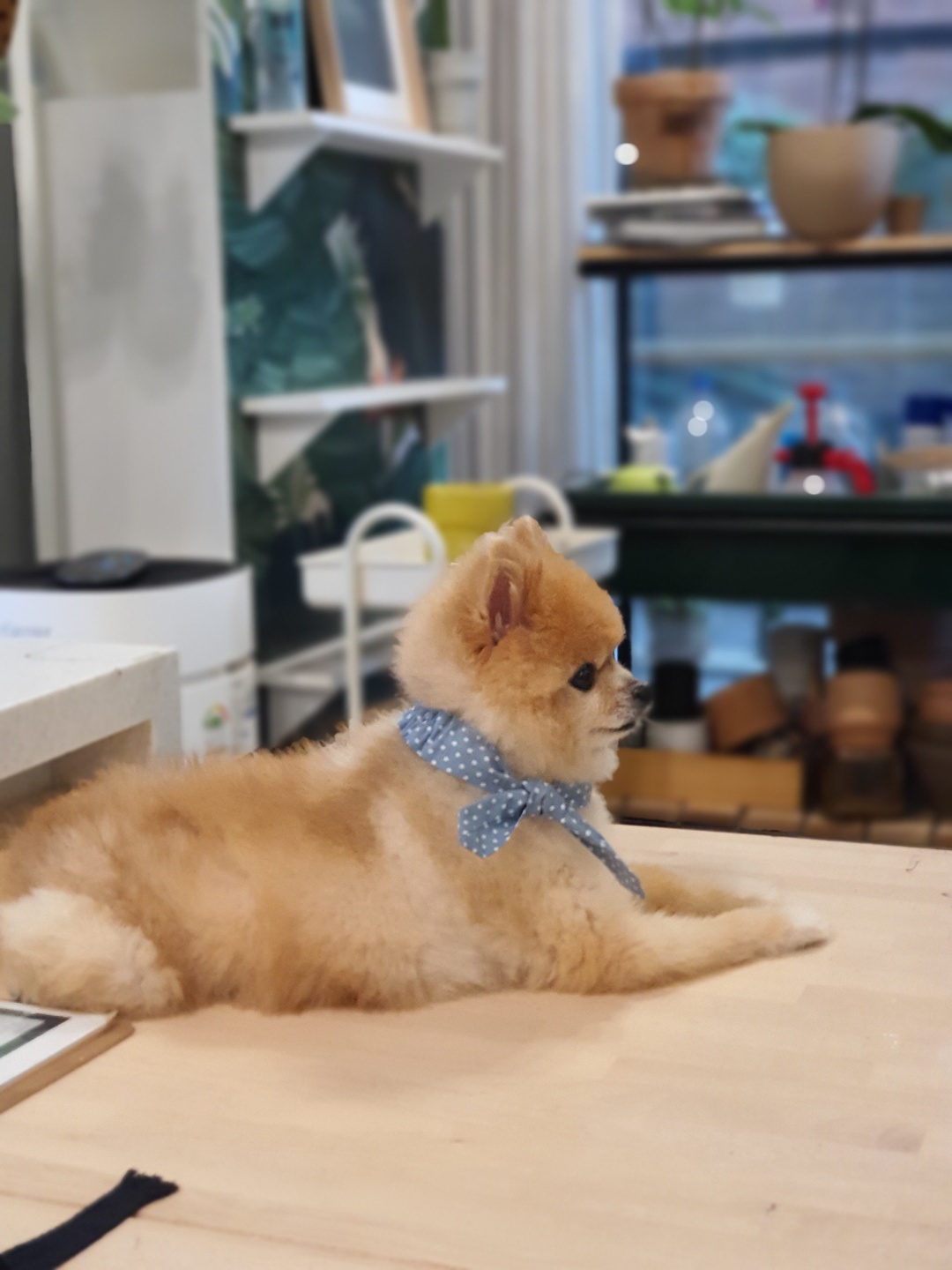 풀빛스튜디오 꽃집