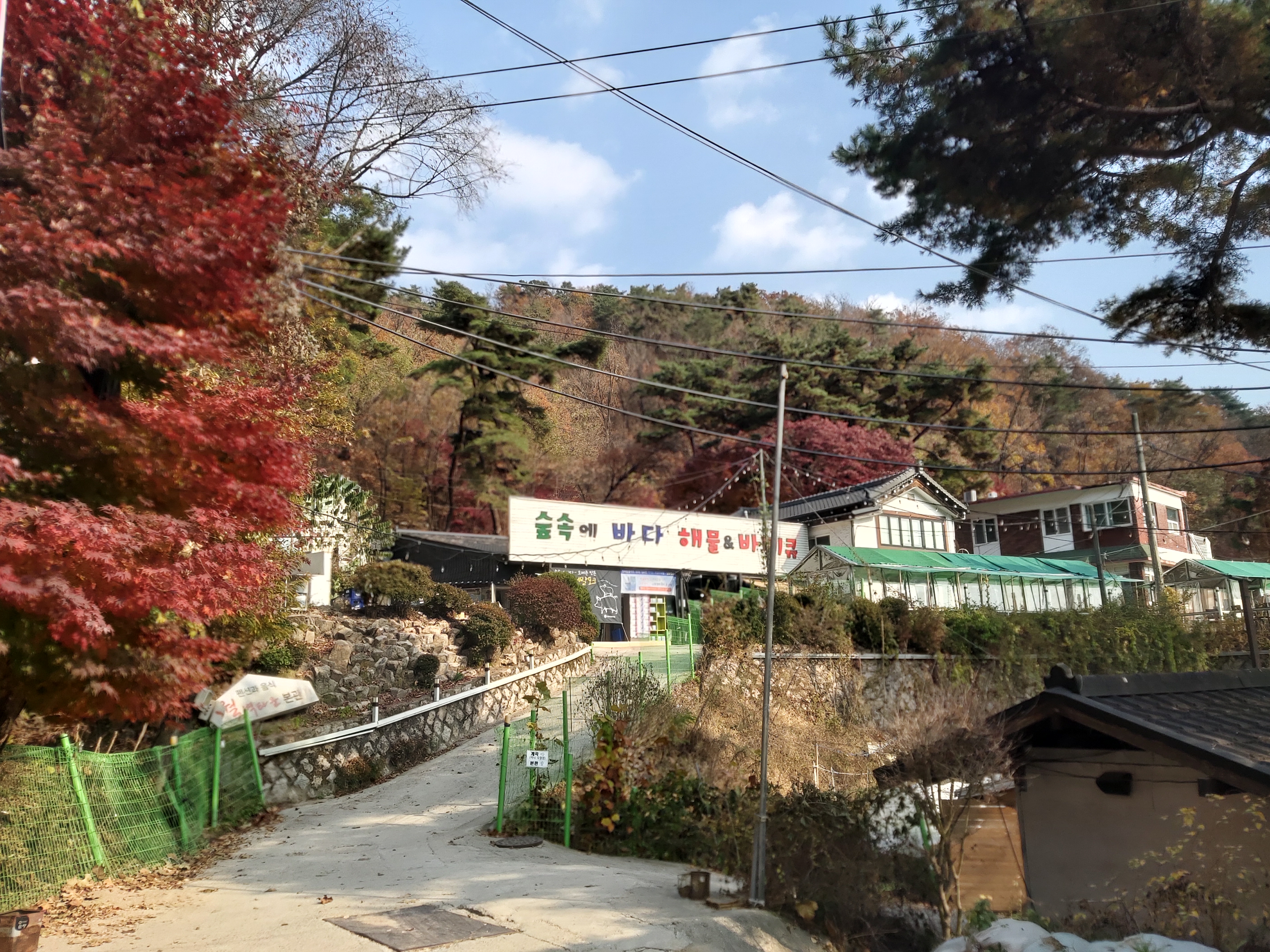 월벽타운