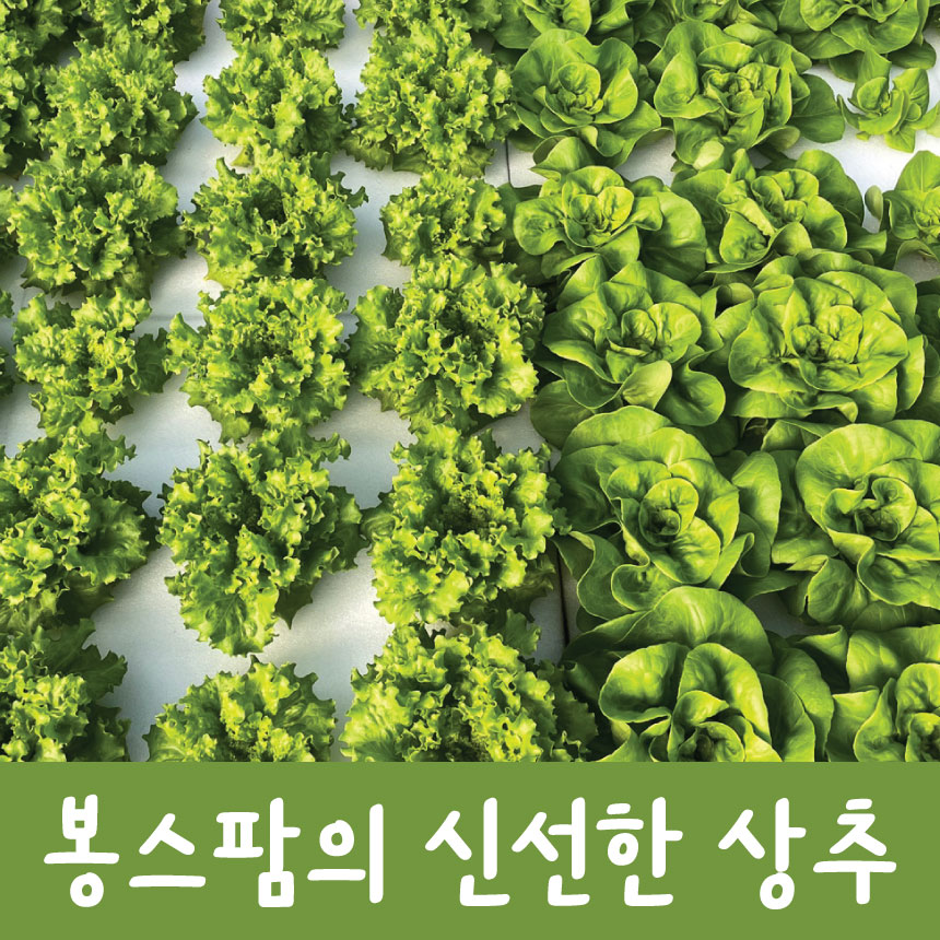봉스팜