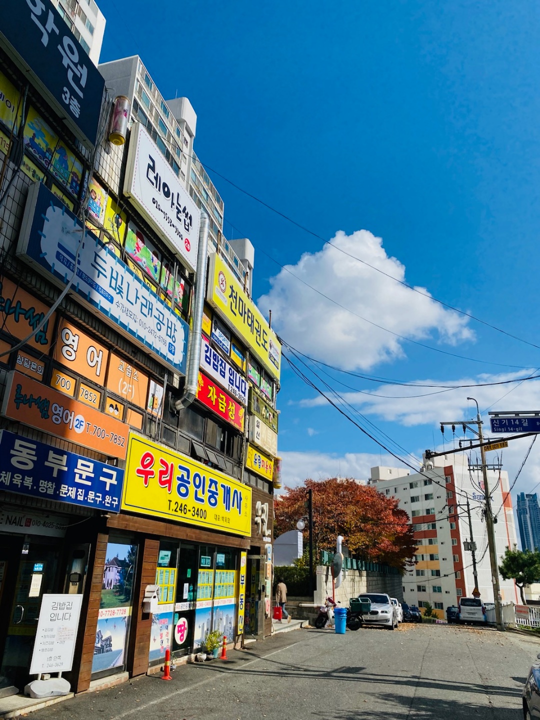 레아눈썹