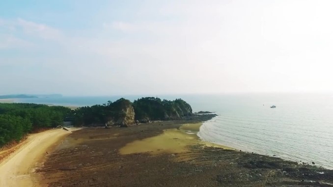 백사장사계절숲속캠핑장