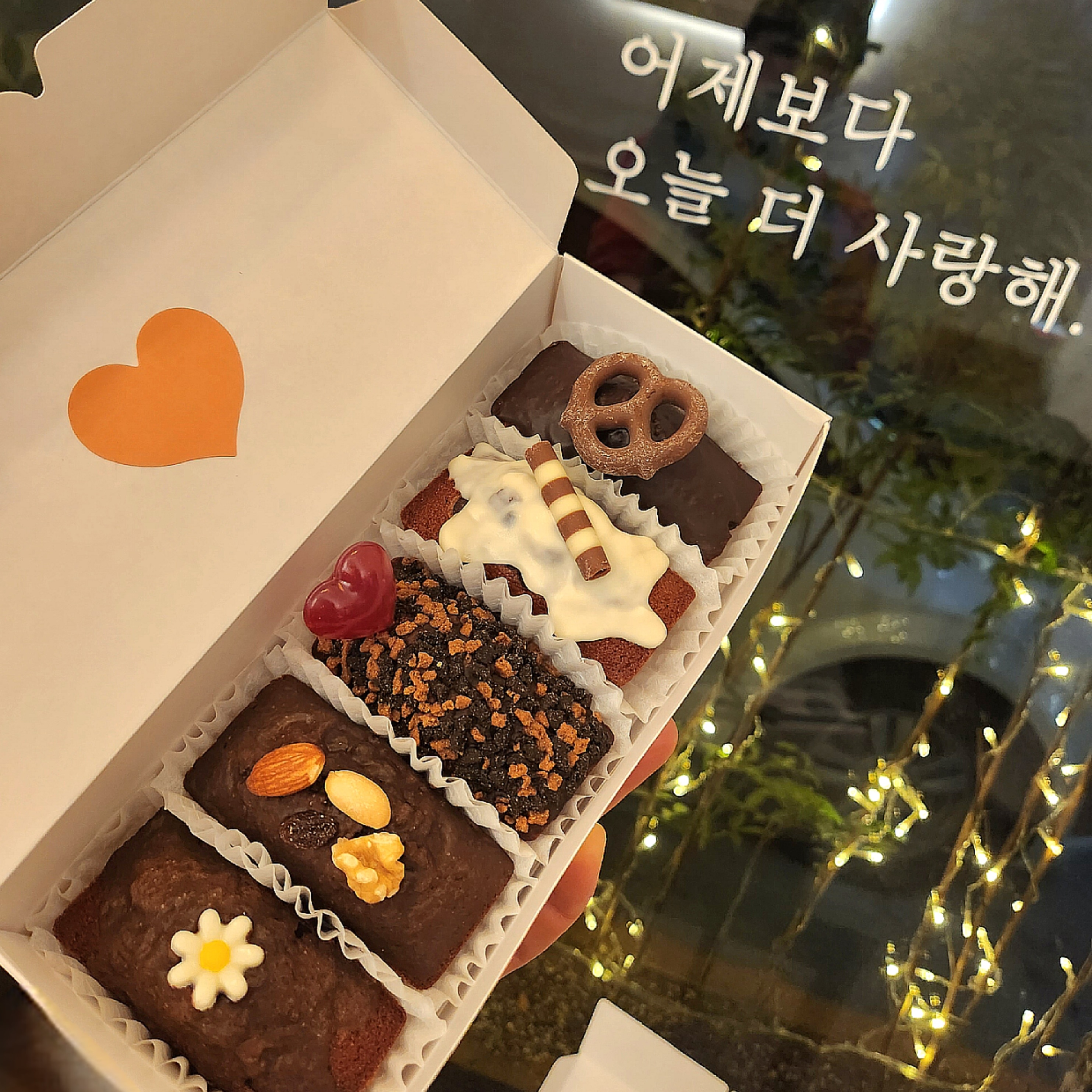 소소온기 경기 애견카페
