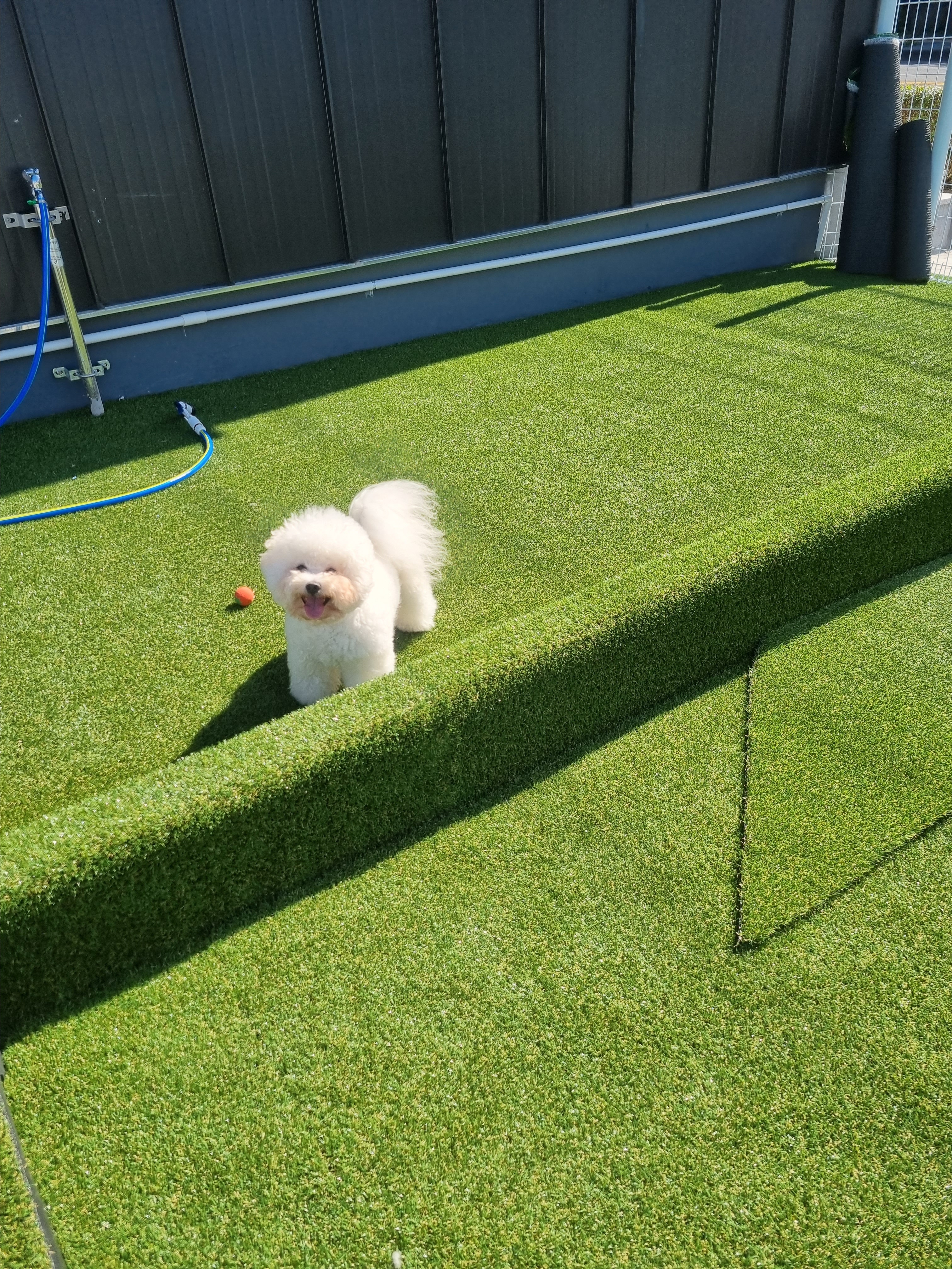 프린스펫 대표 이미지