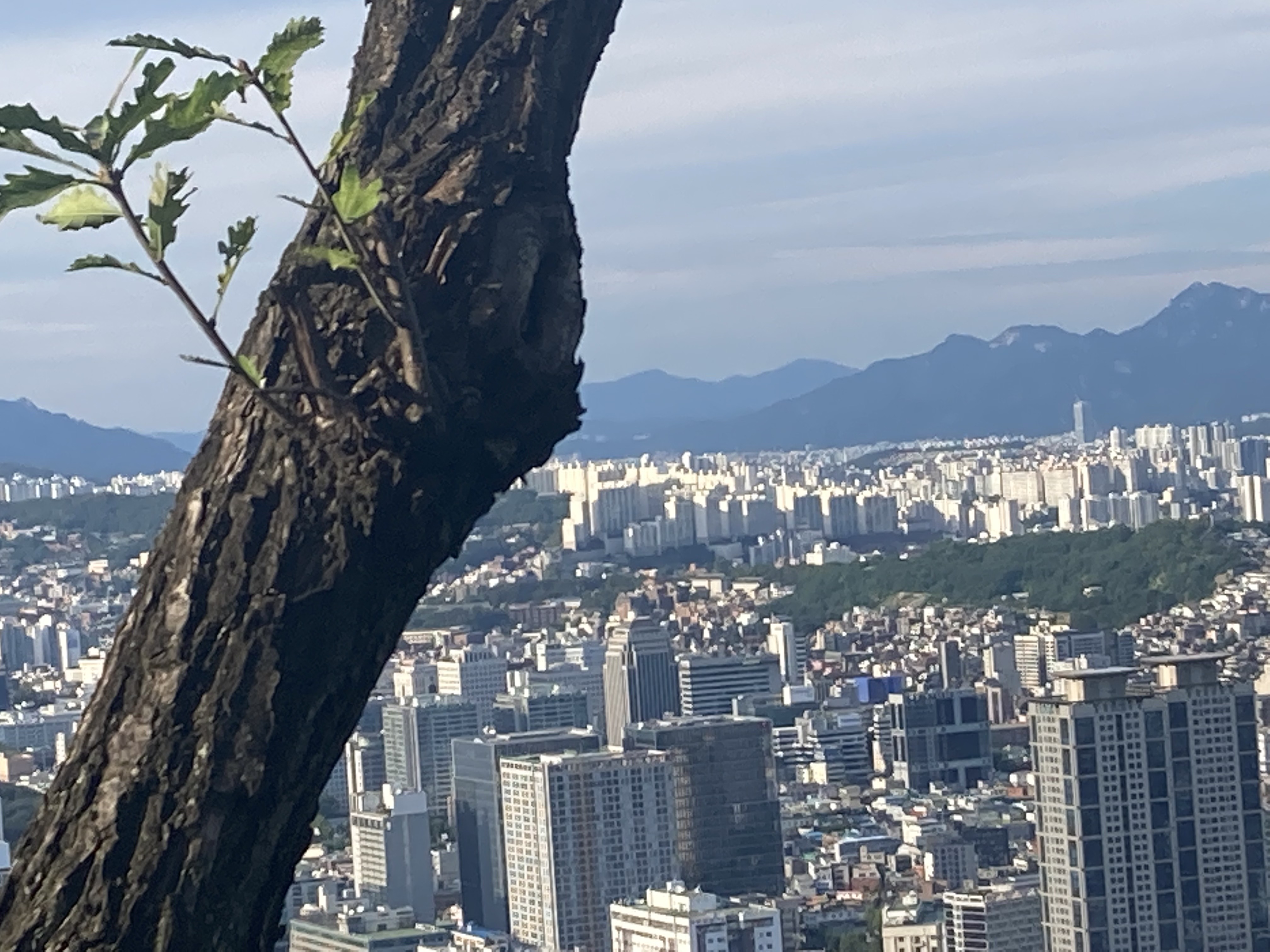 삼삼투어 여행사
