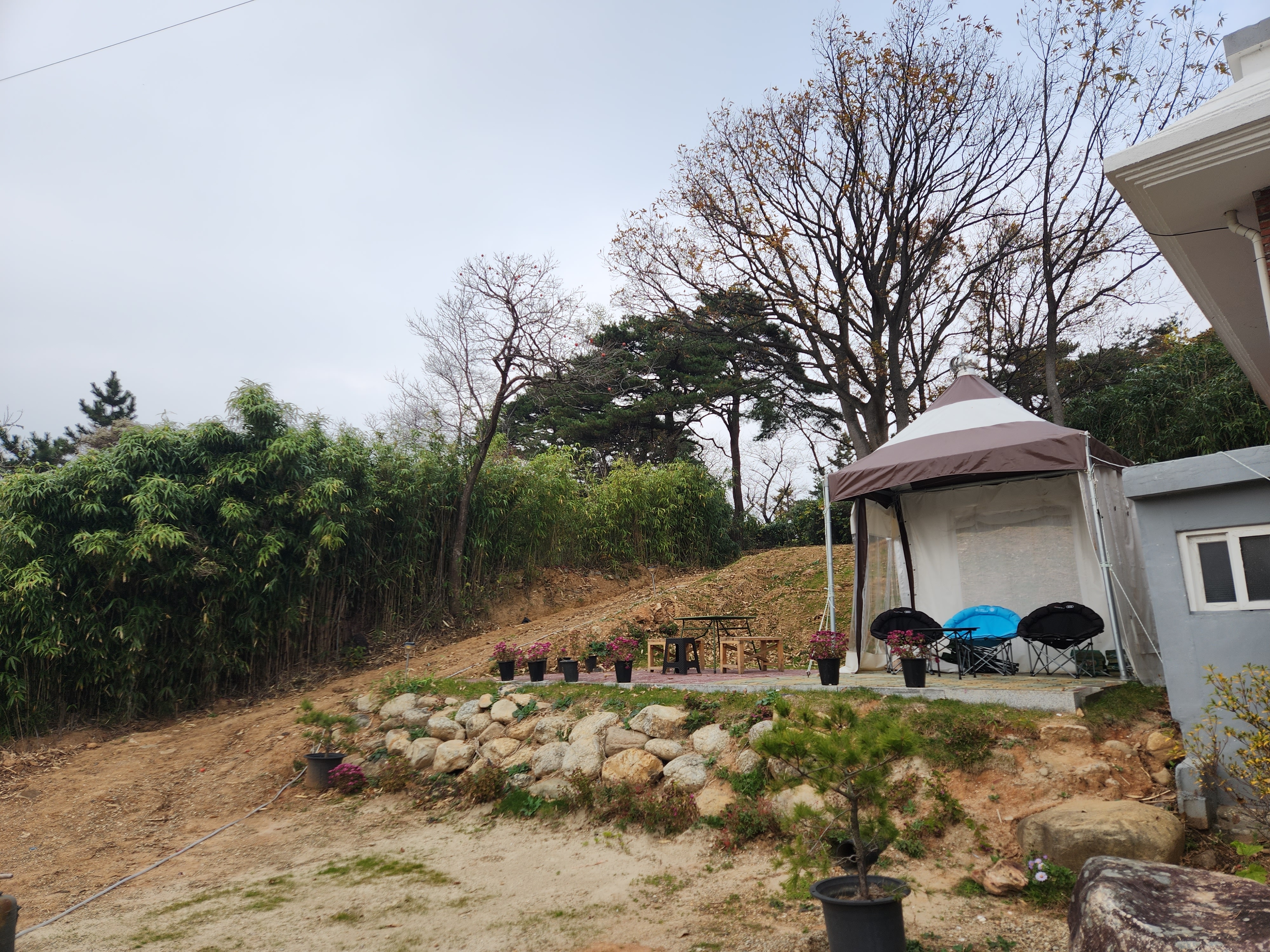 카페 백촌리