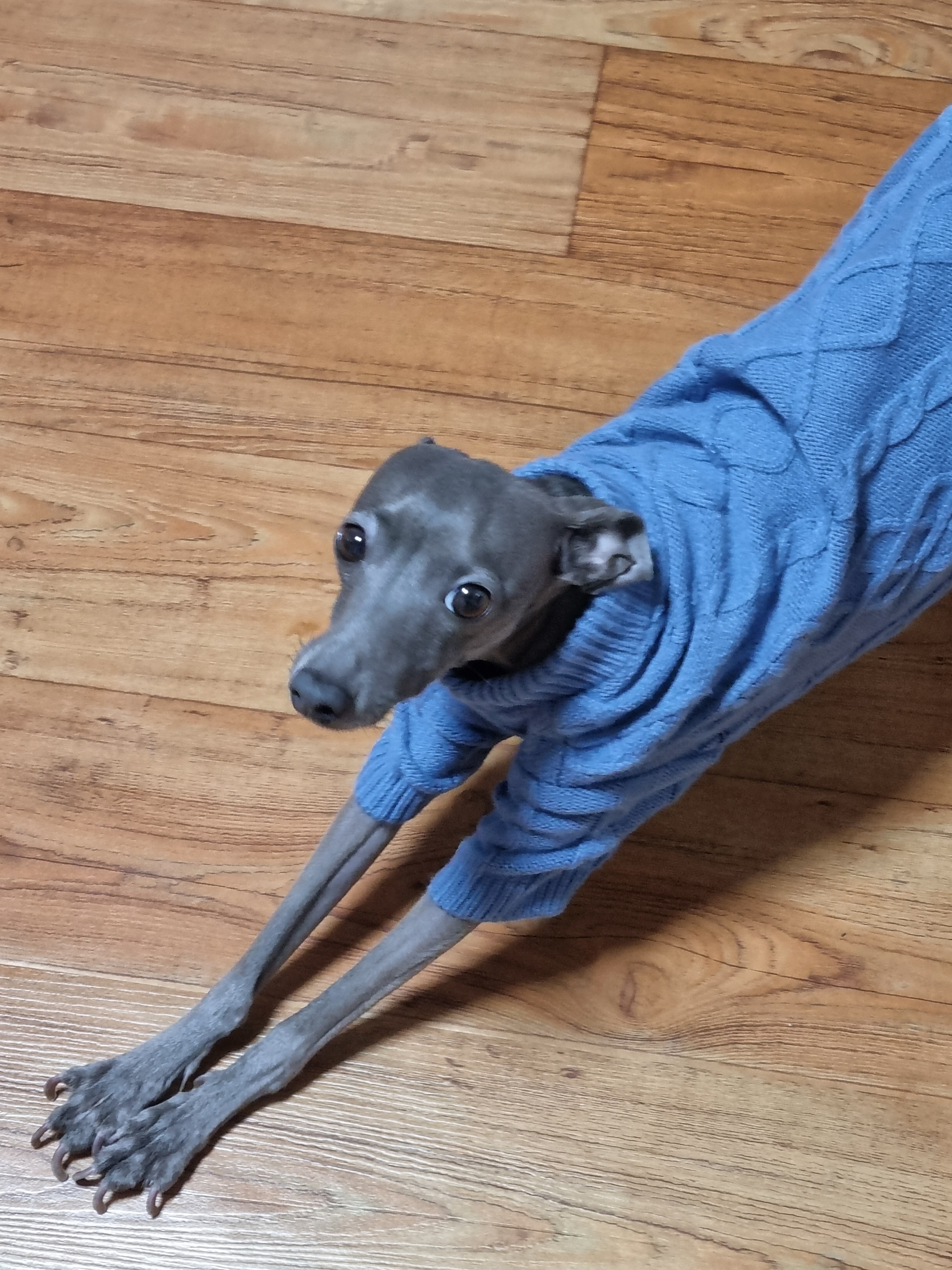 하우스깔끄미