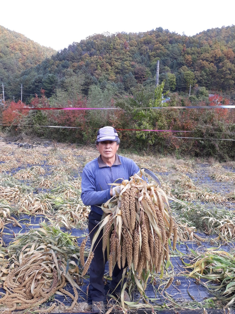 일품자연농원
