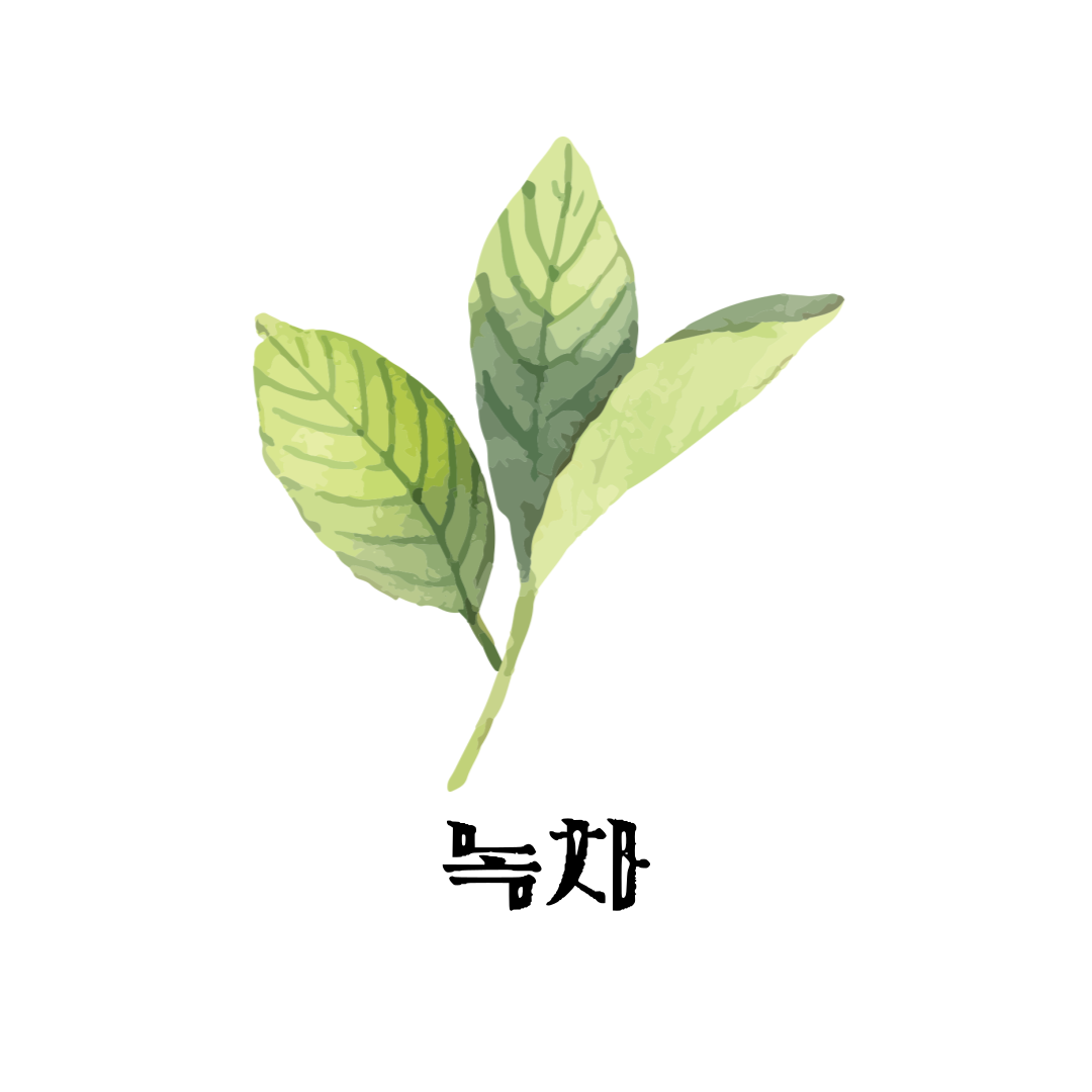 하심당 커피