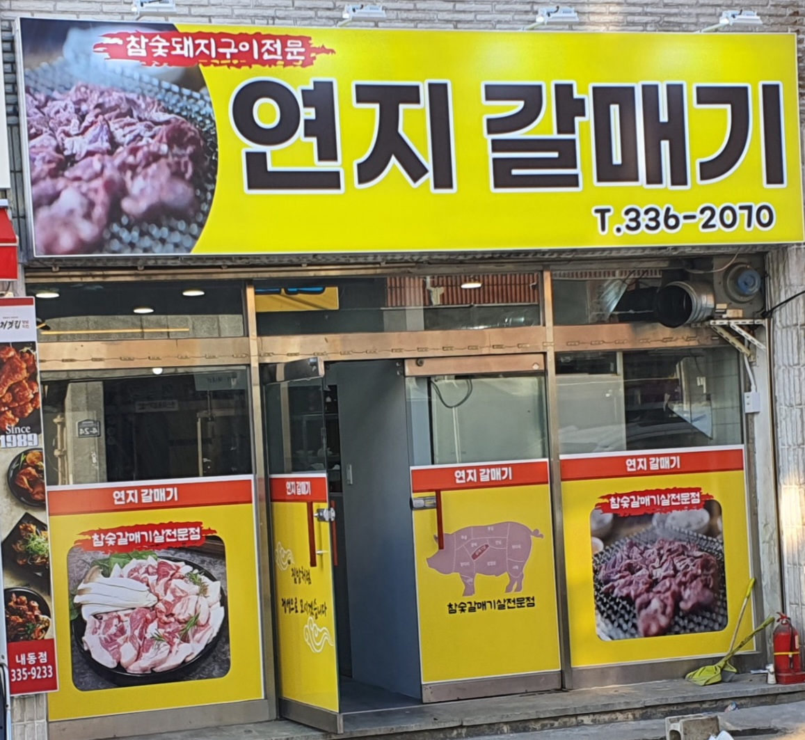 연지갈매기