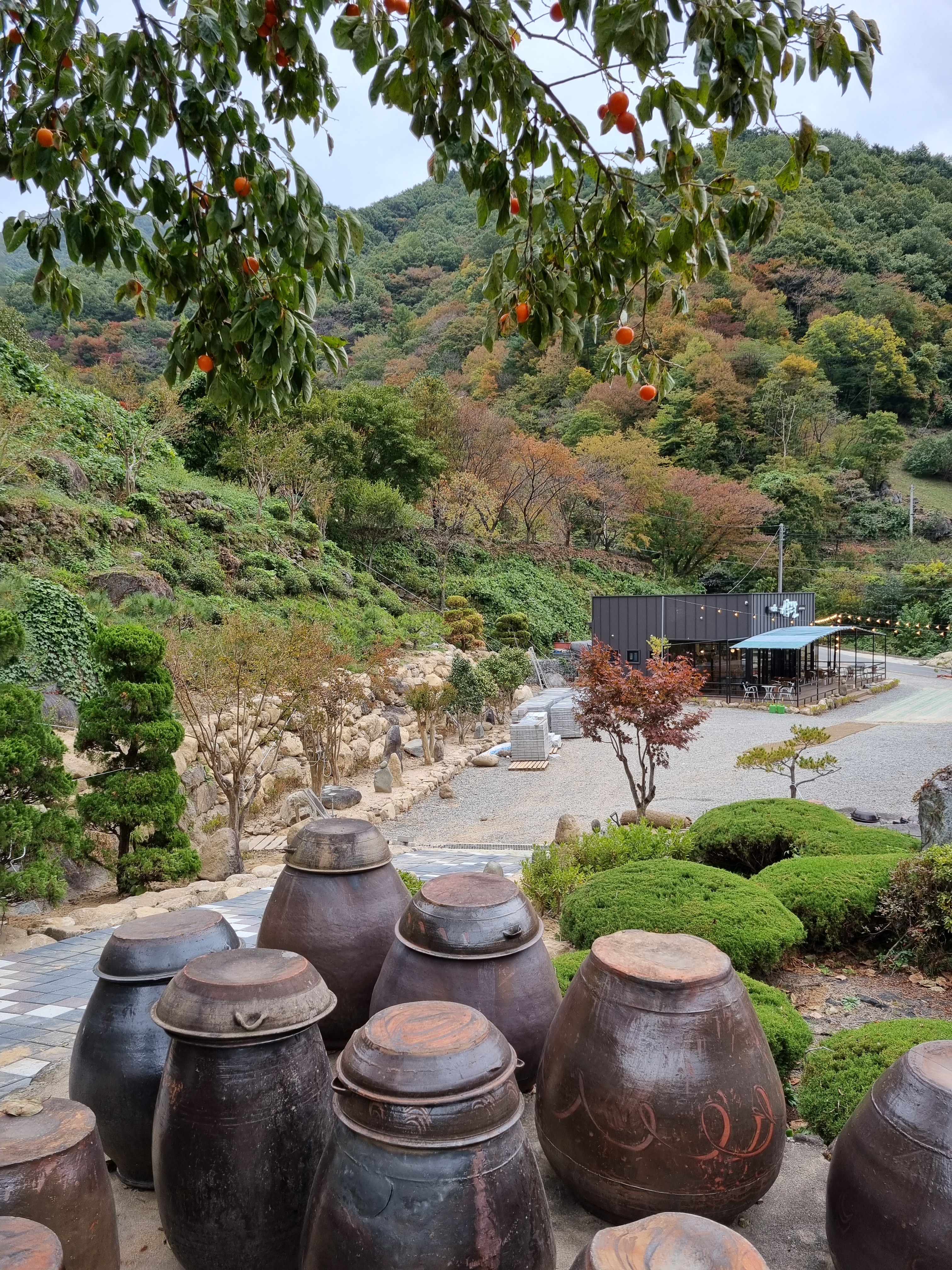 더좋은날