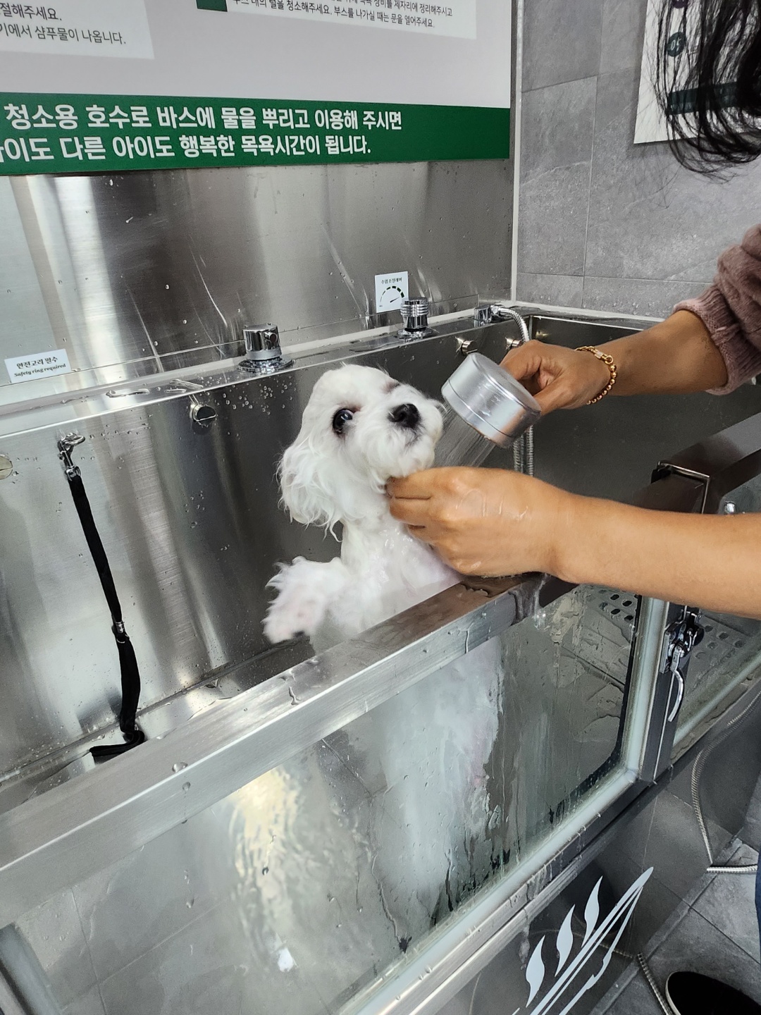 푸르댕 대표 이미지