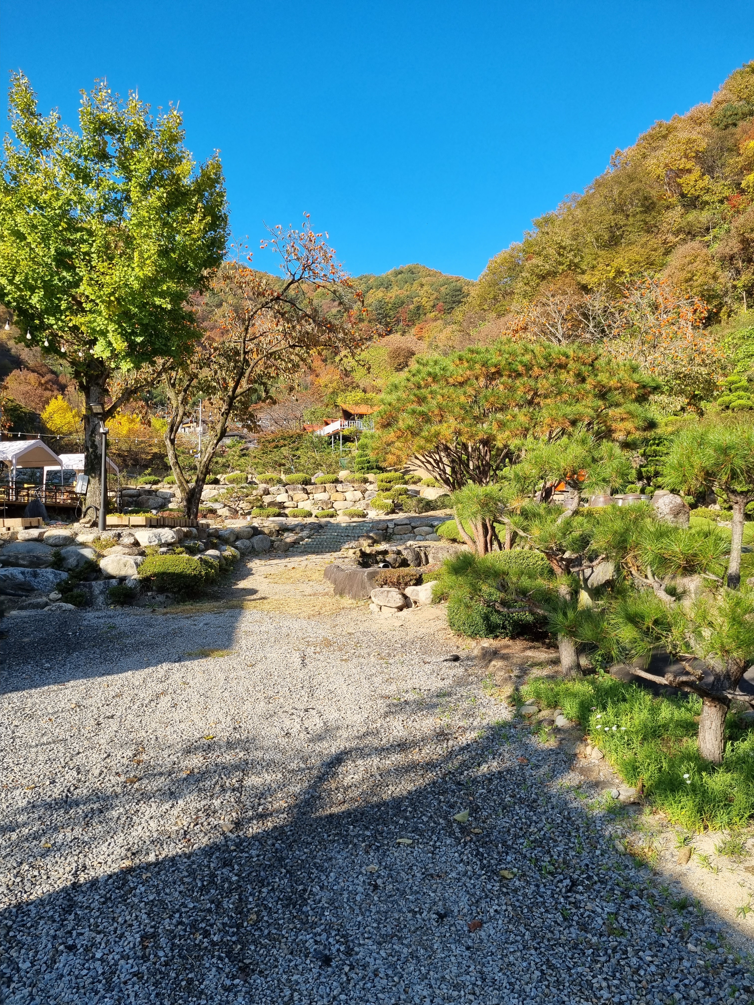 더좋은날