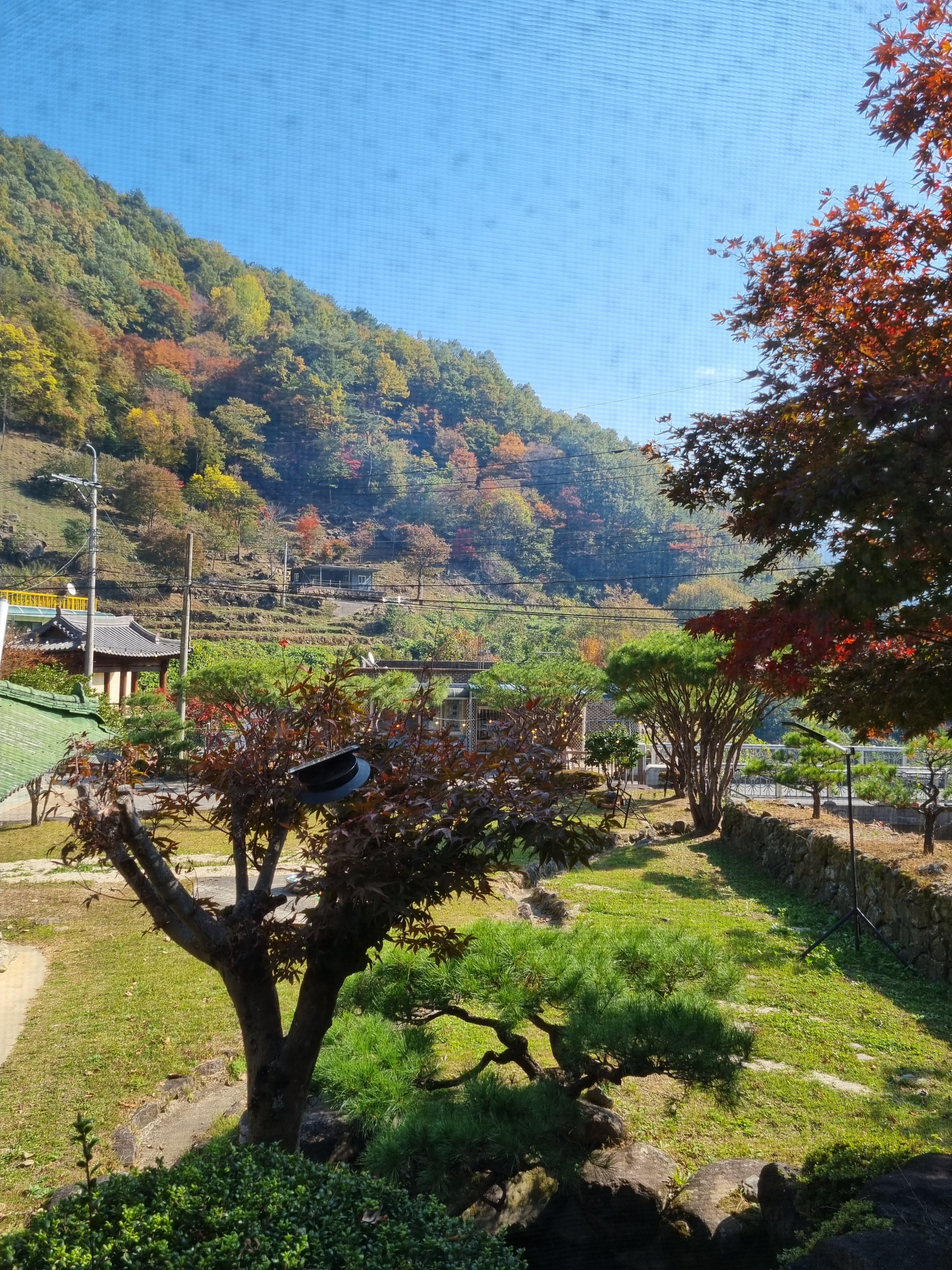 더좋은날