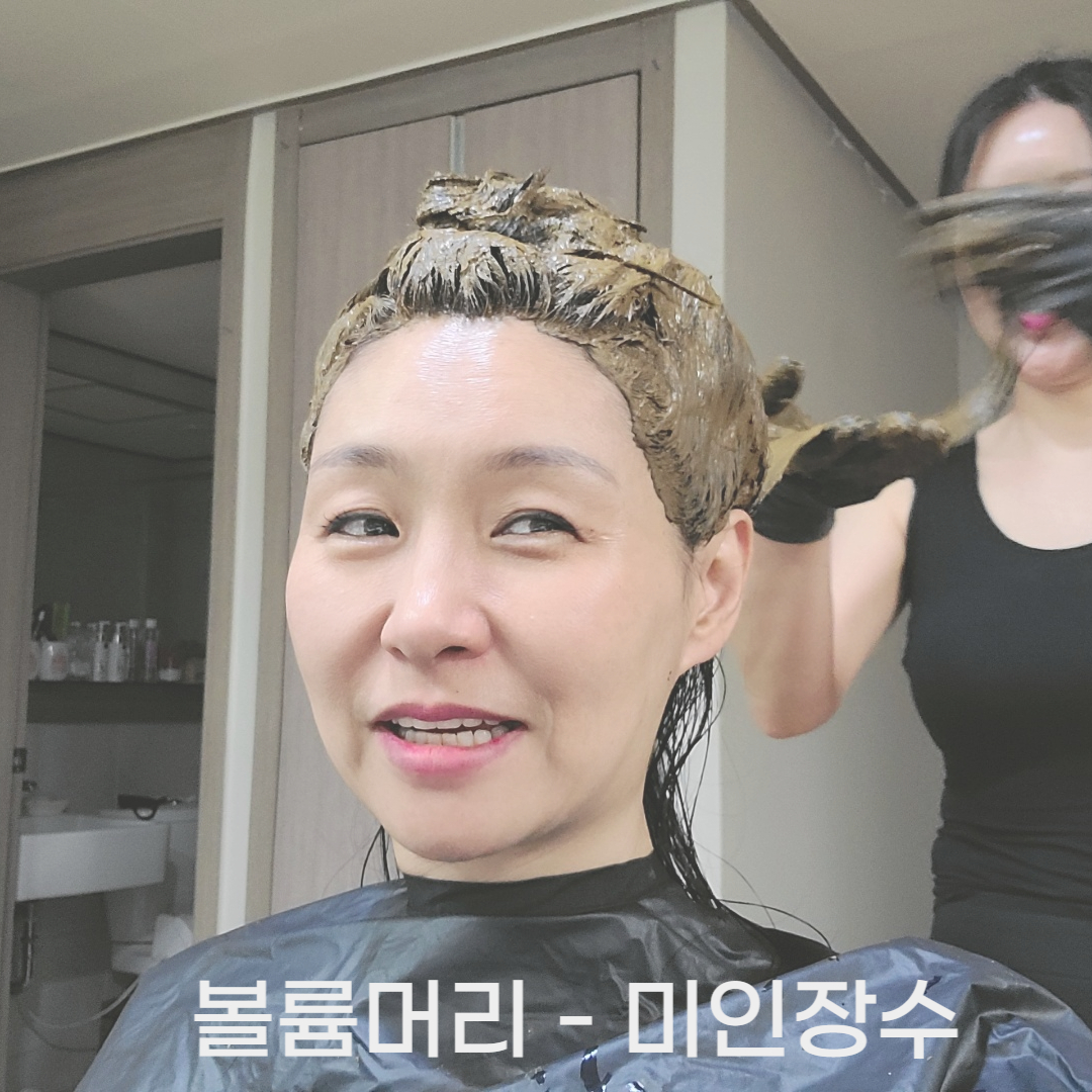 미인장수
