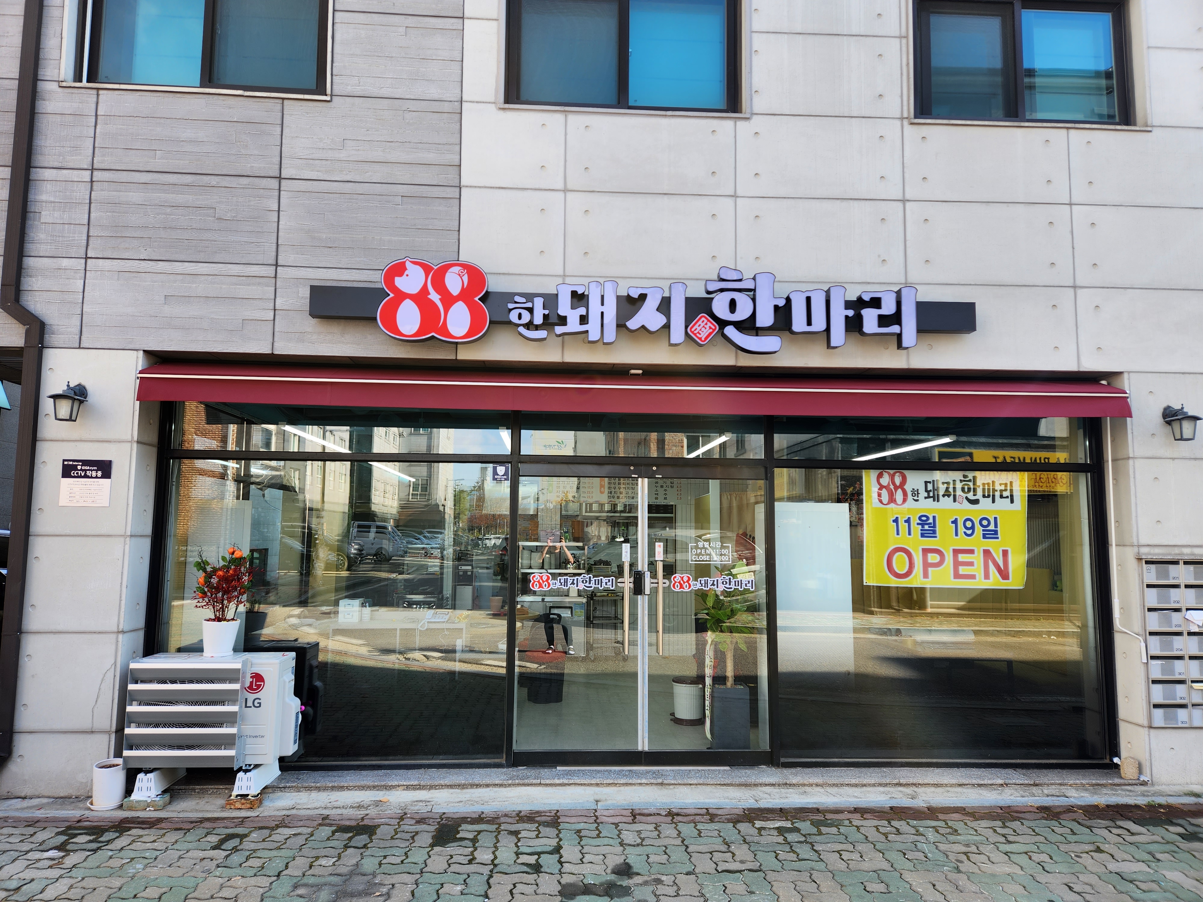 88한돼지한마리
