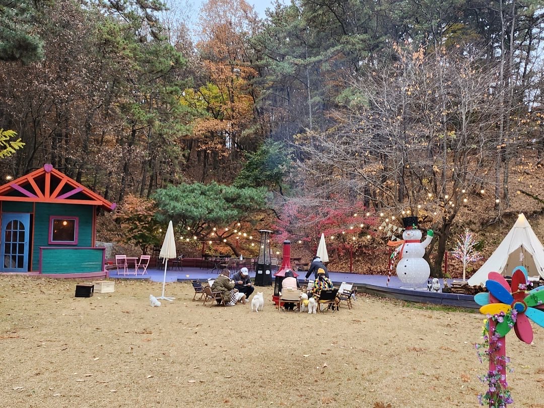 포시즌애견테마파크