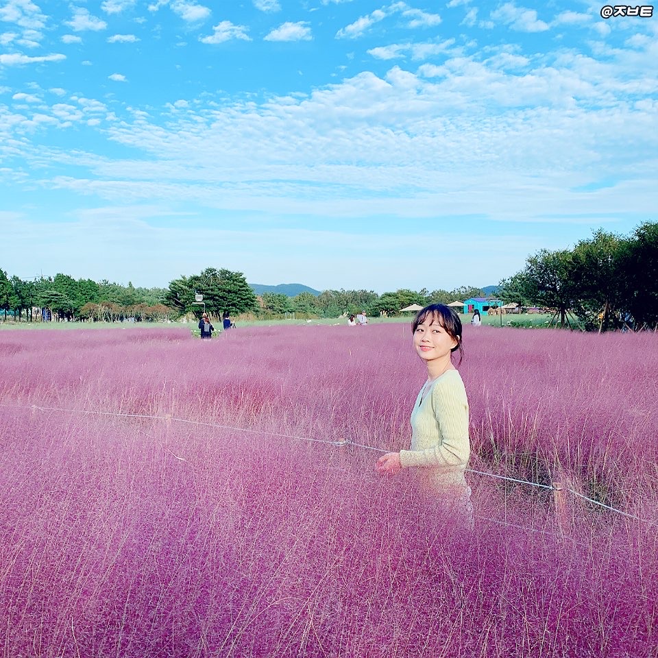 수성여행사