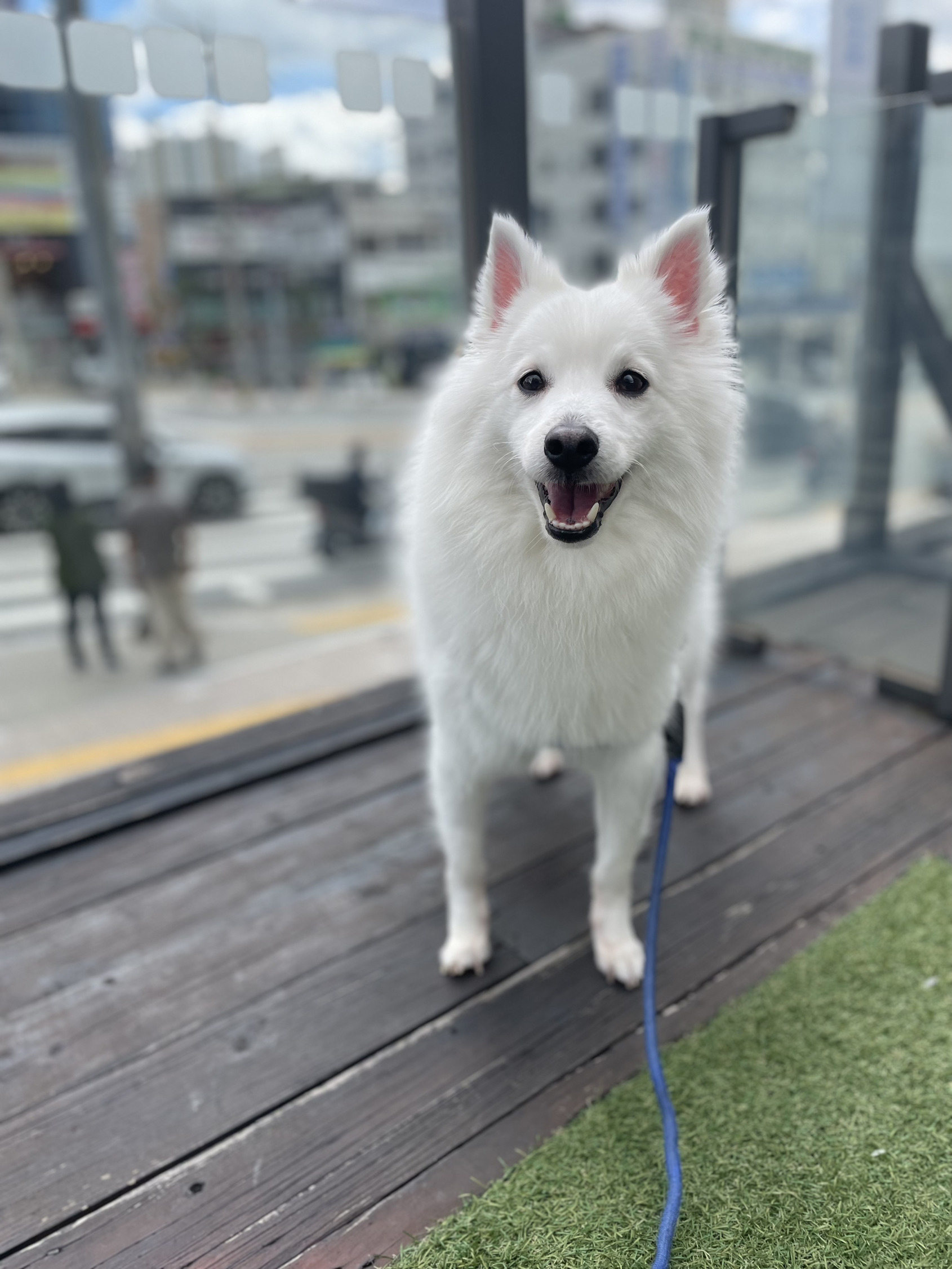로잔동물의료센터 대표 이미지