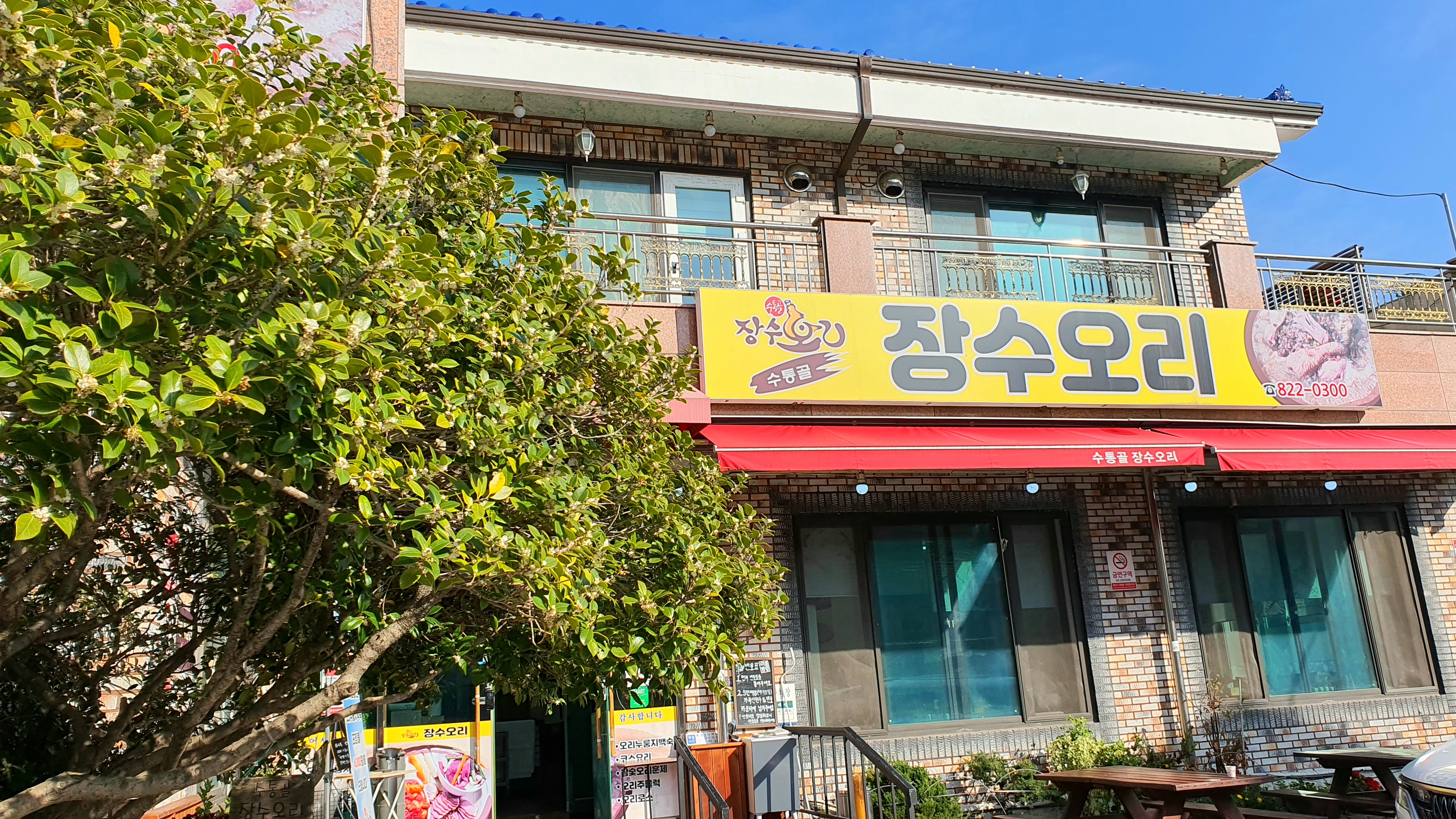 수통골장수오리