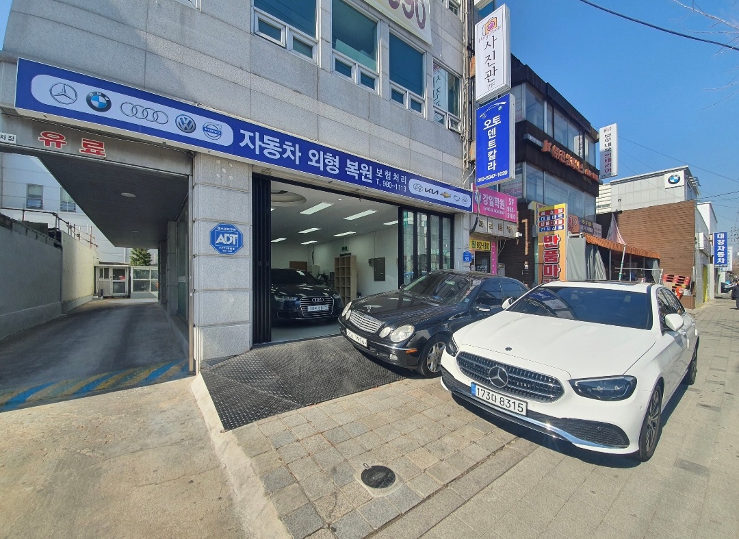 오토덴트칼라