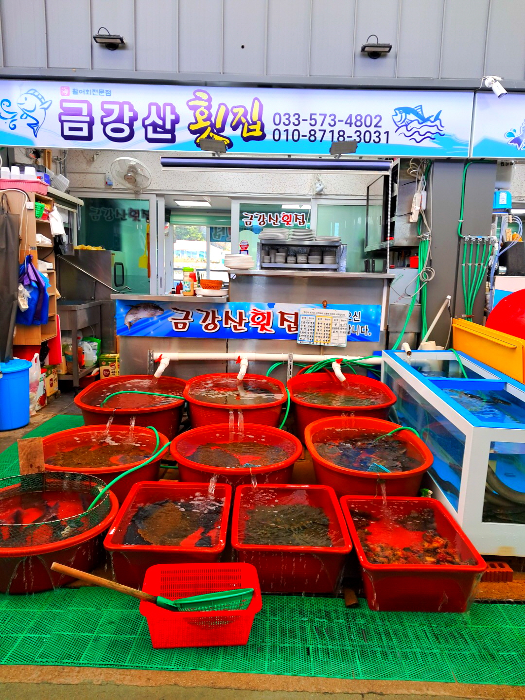 금강산횟집 설명사진