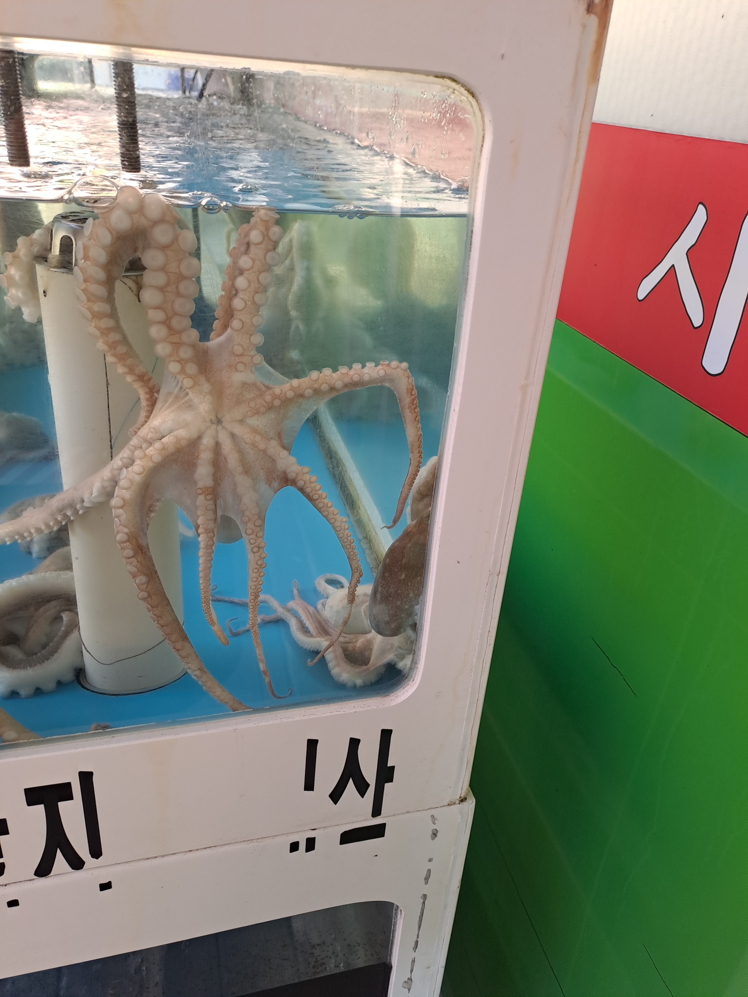 상관리조트맛집