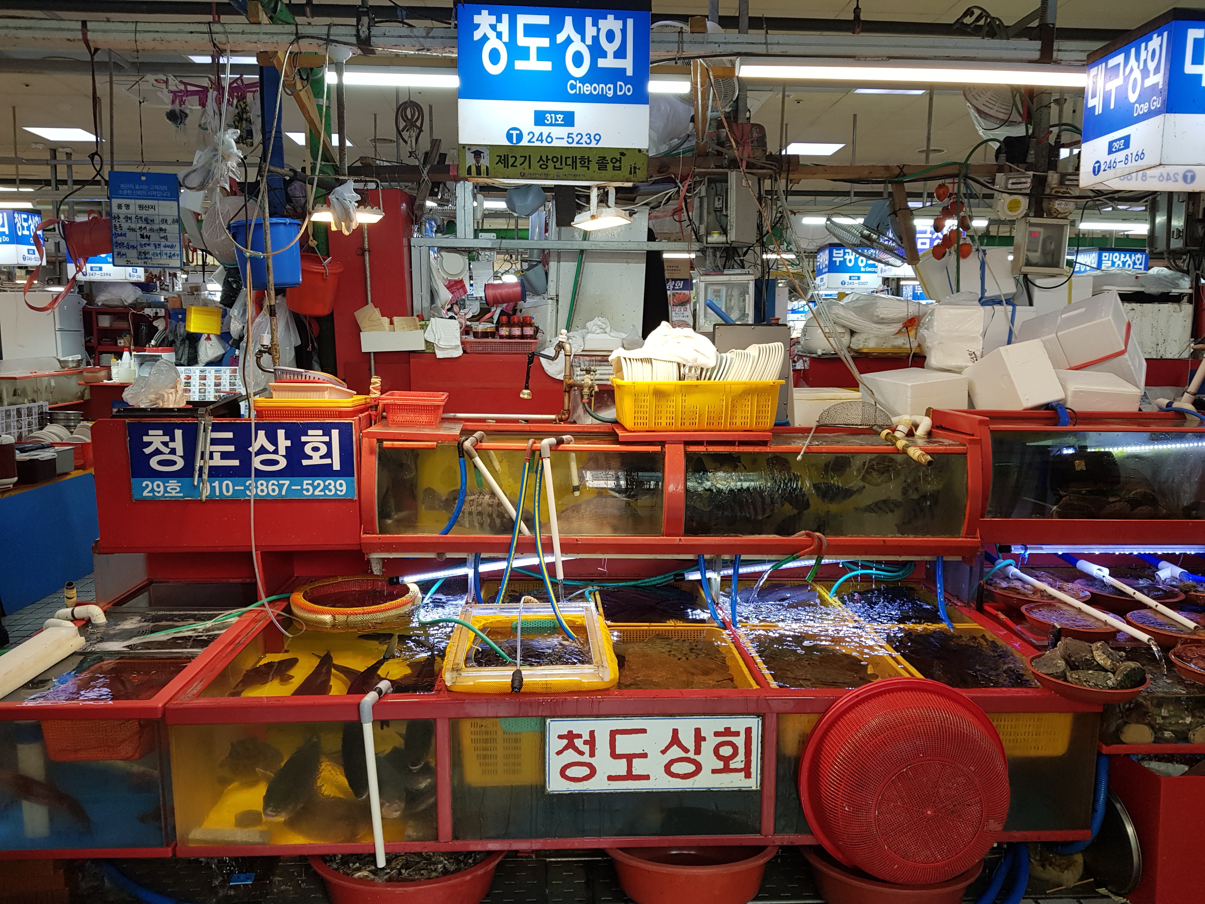 청도상회33호