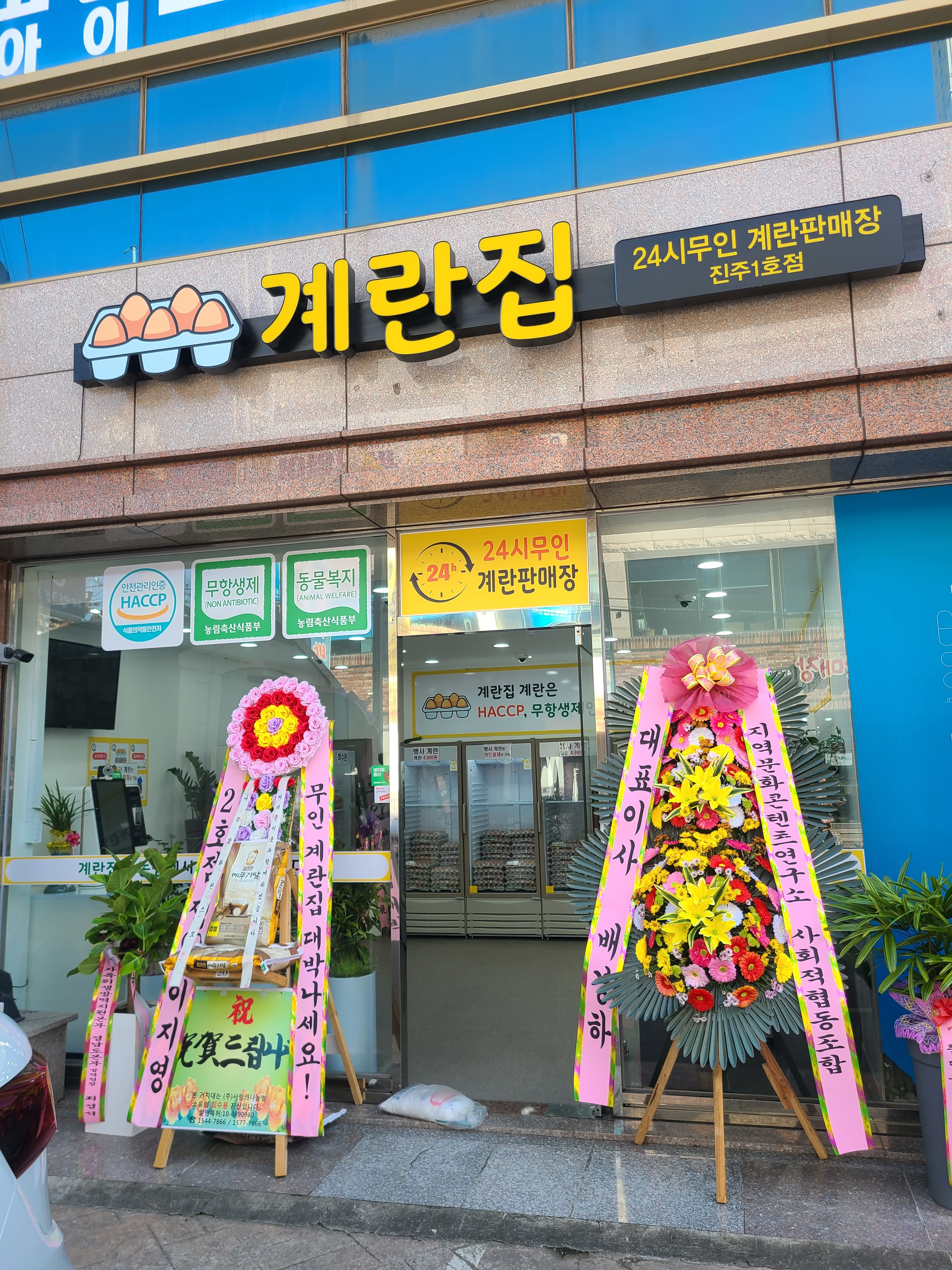 계란집