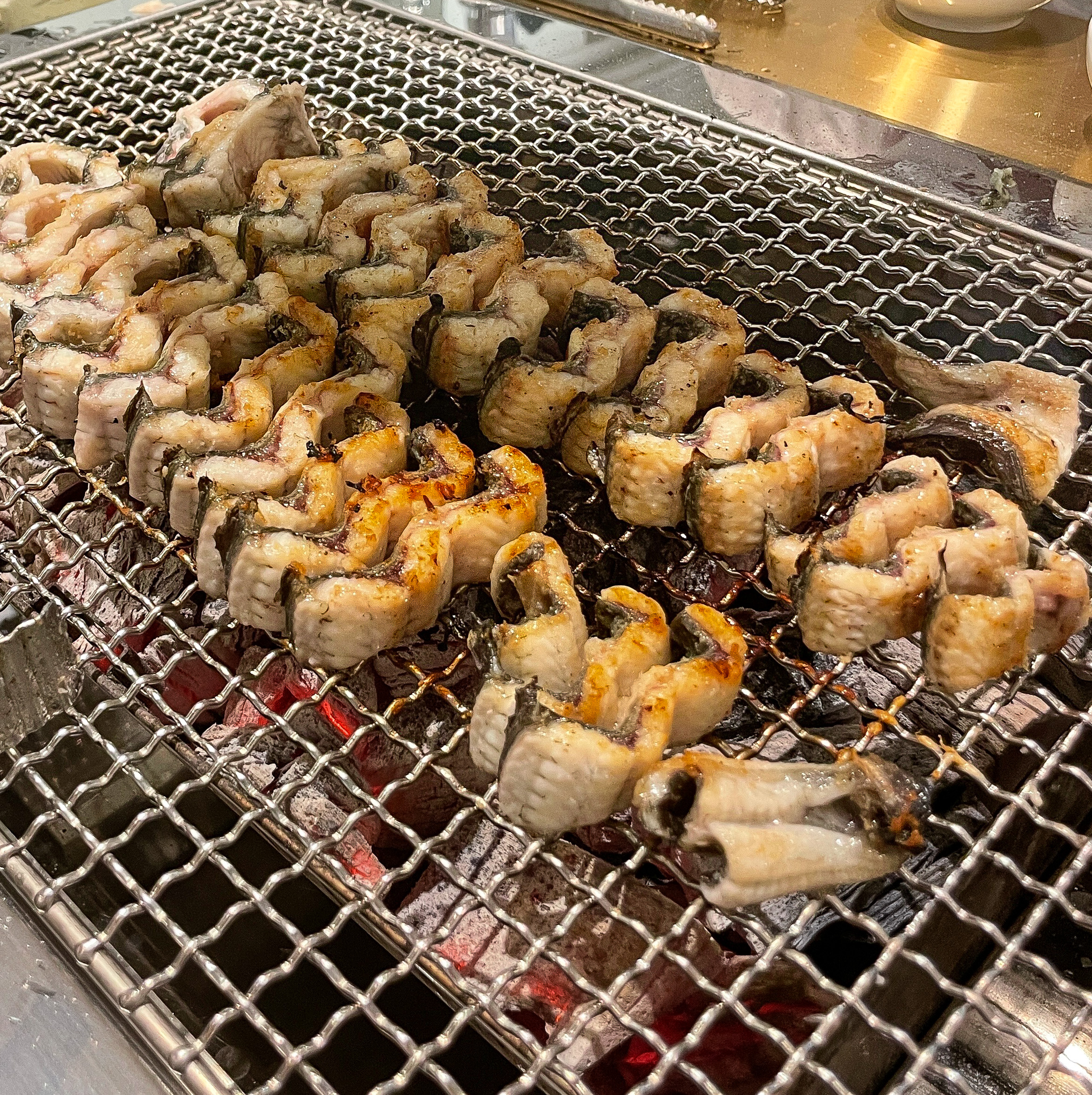 머슬장어