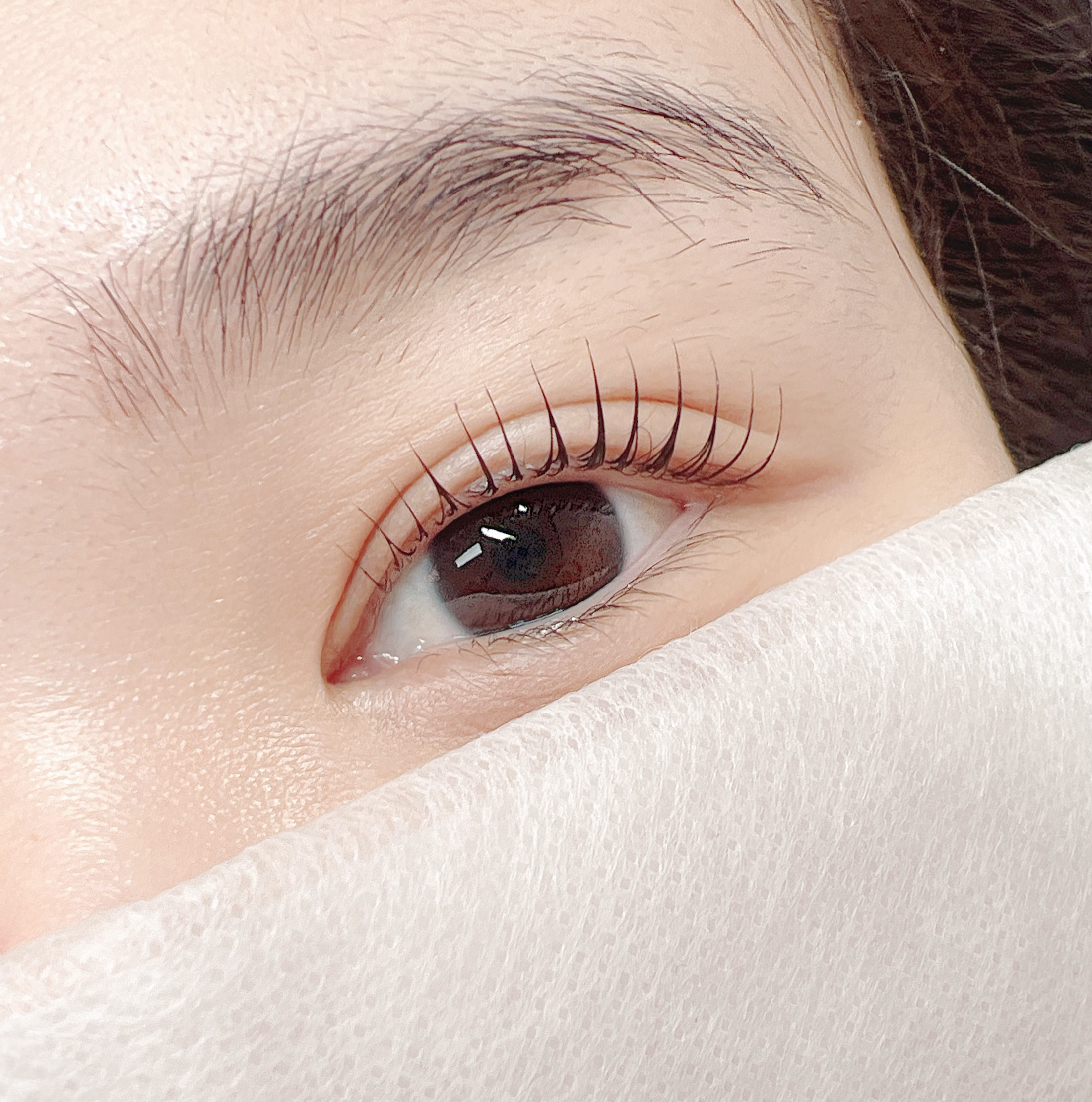 온뷰티샵 눈썹/속눈썹