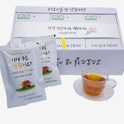 코스모스길 옆 상황버섯