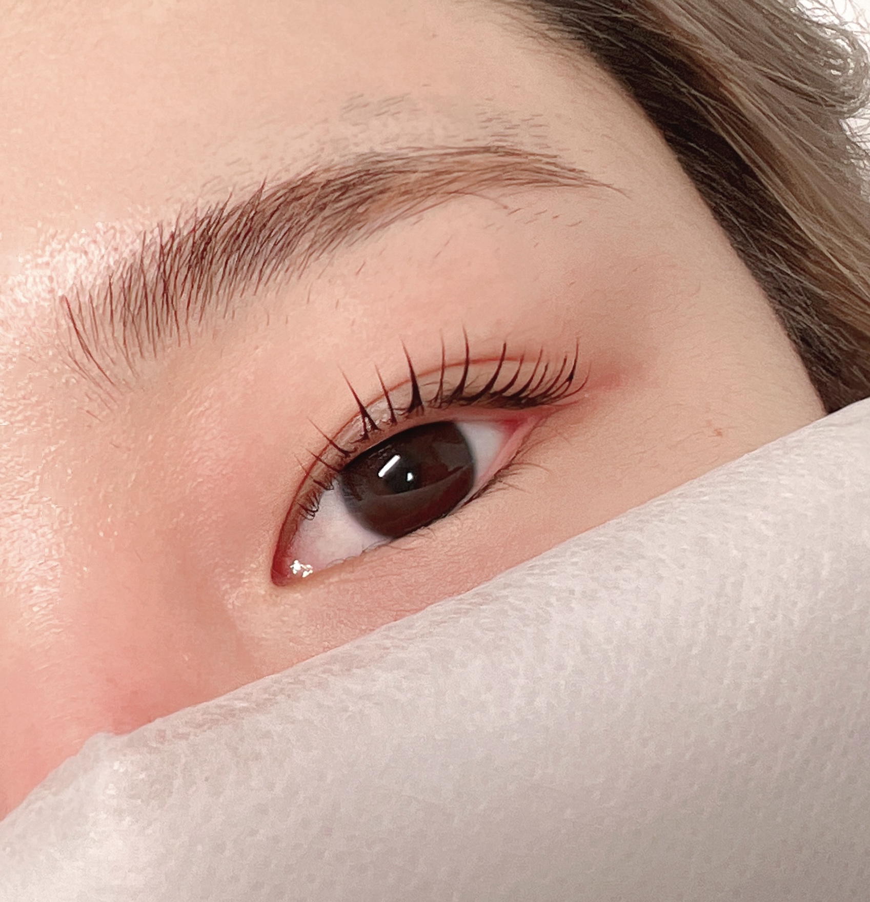 온뷰티샵 눈썹/속눈썹