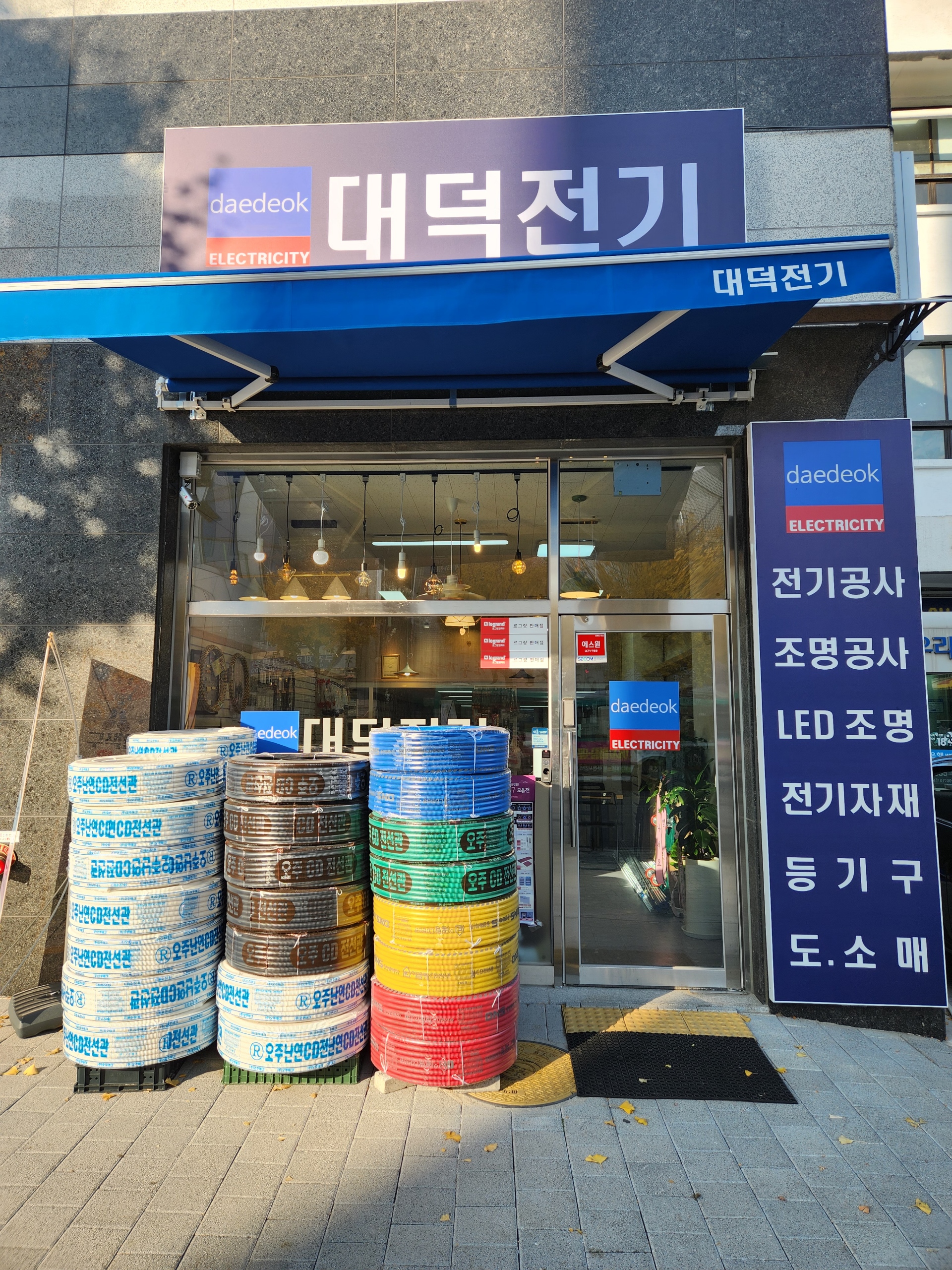 대덕전기