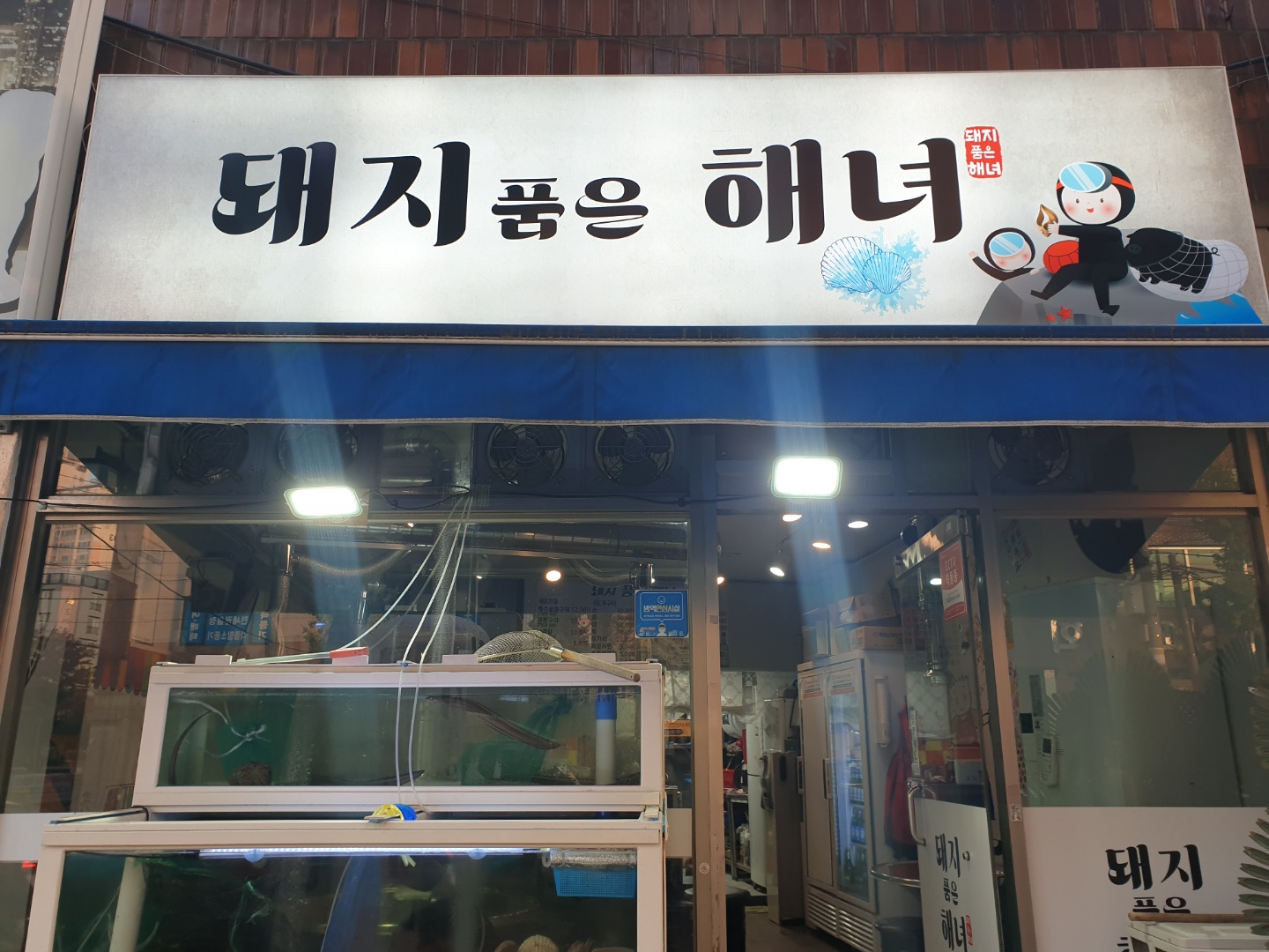 돼지 품은 해녀