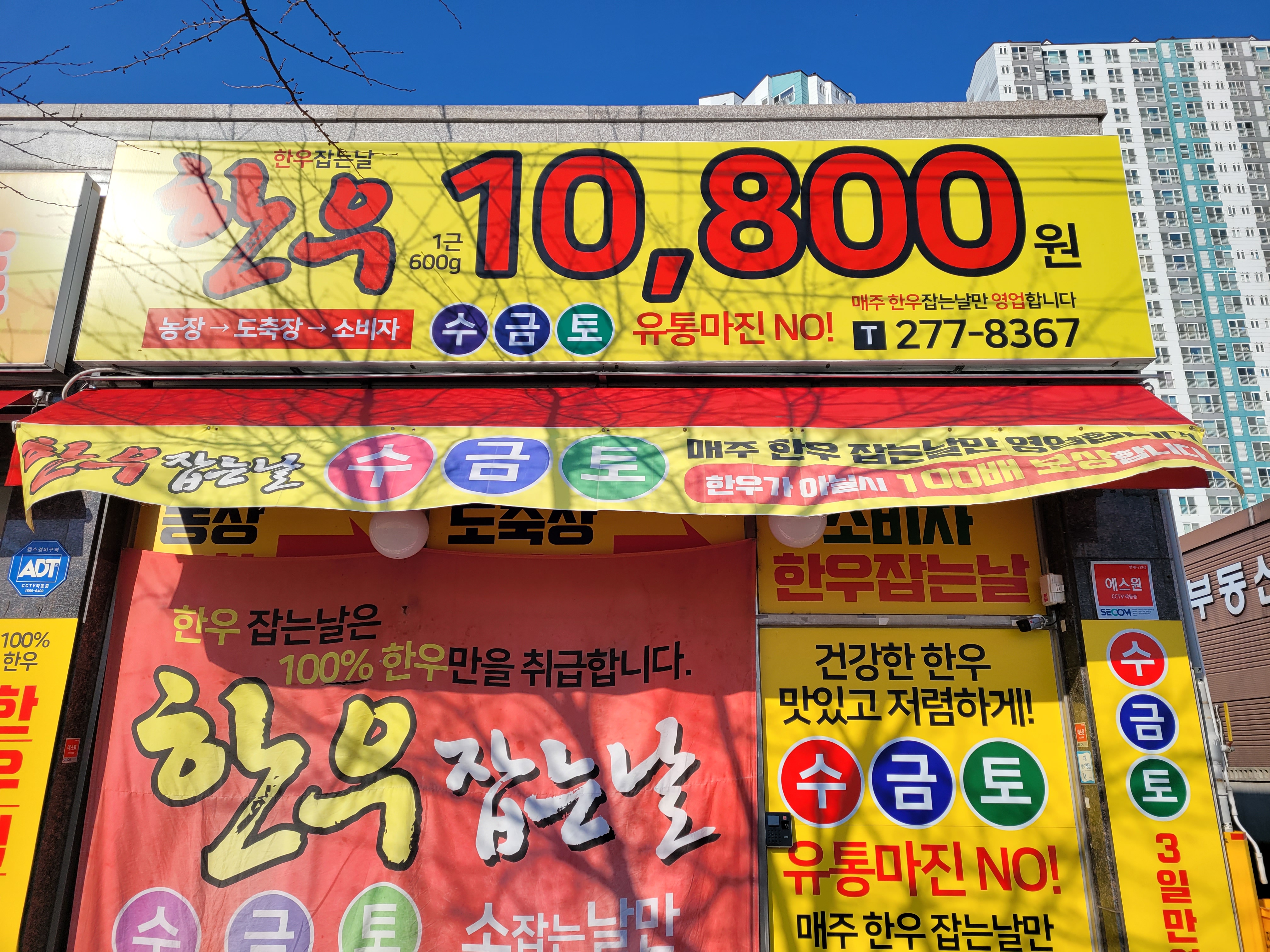 참한우 한우잡는날