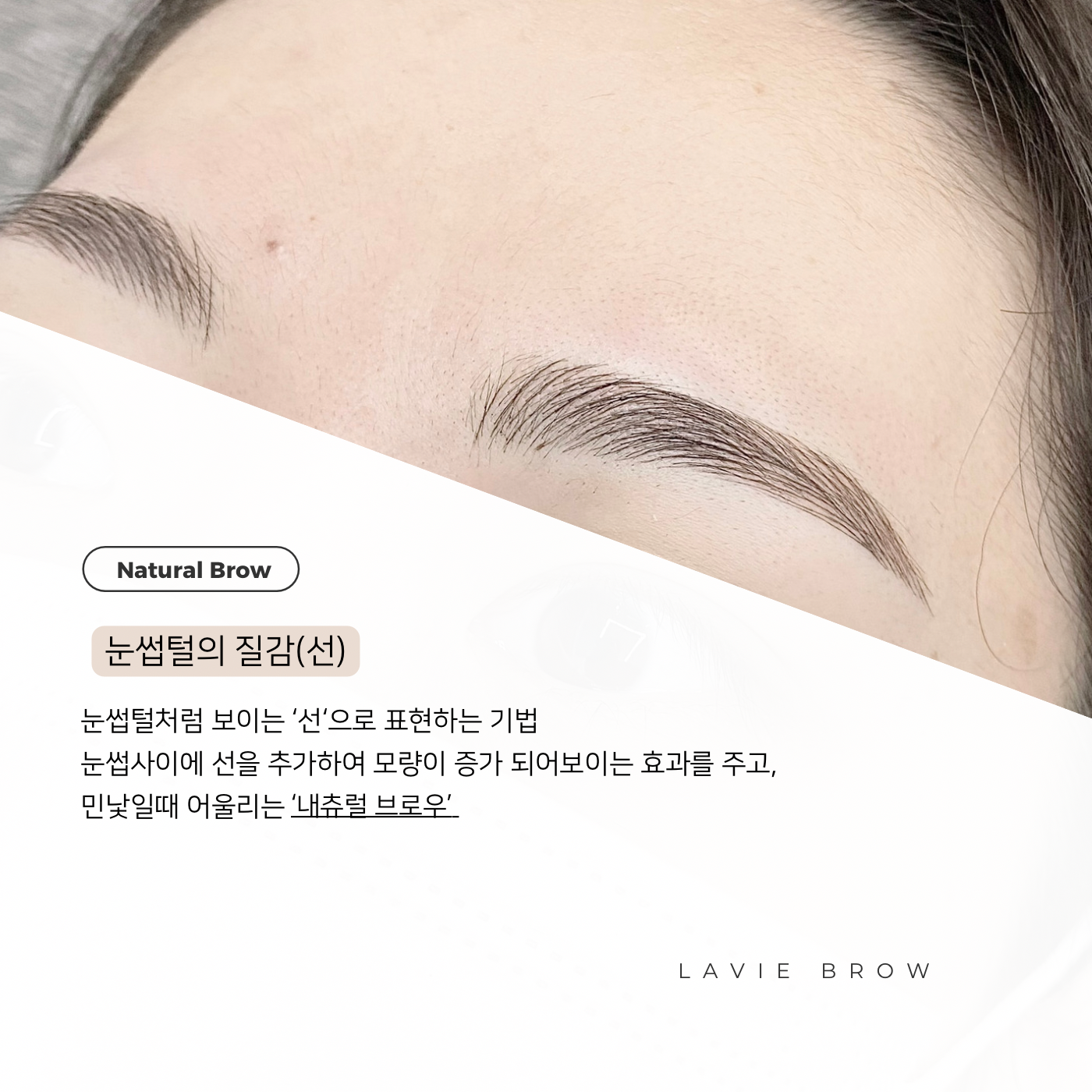 라비에브로우