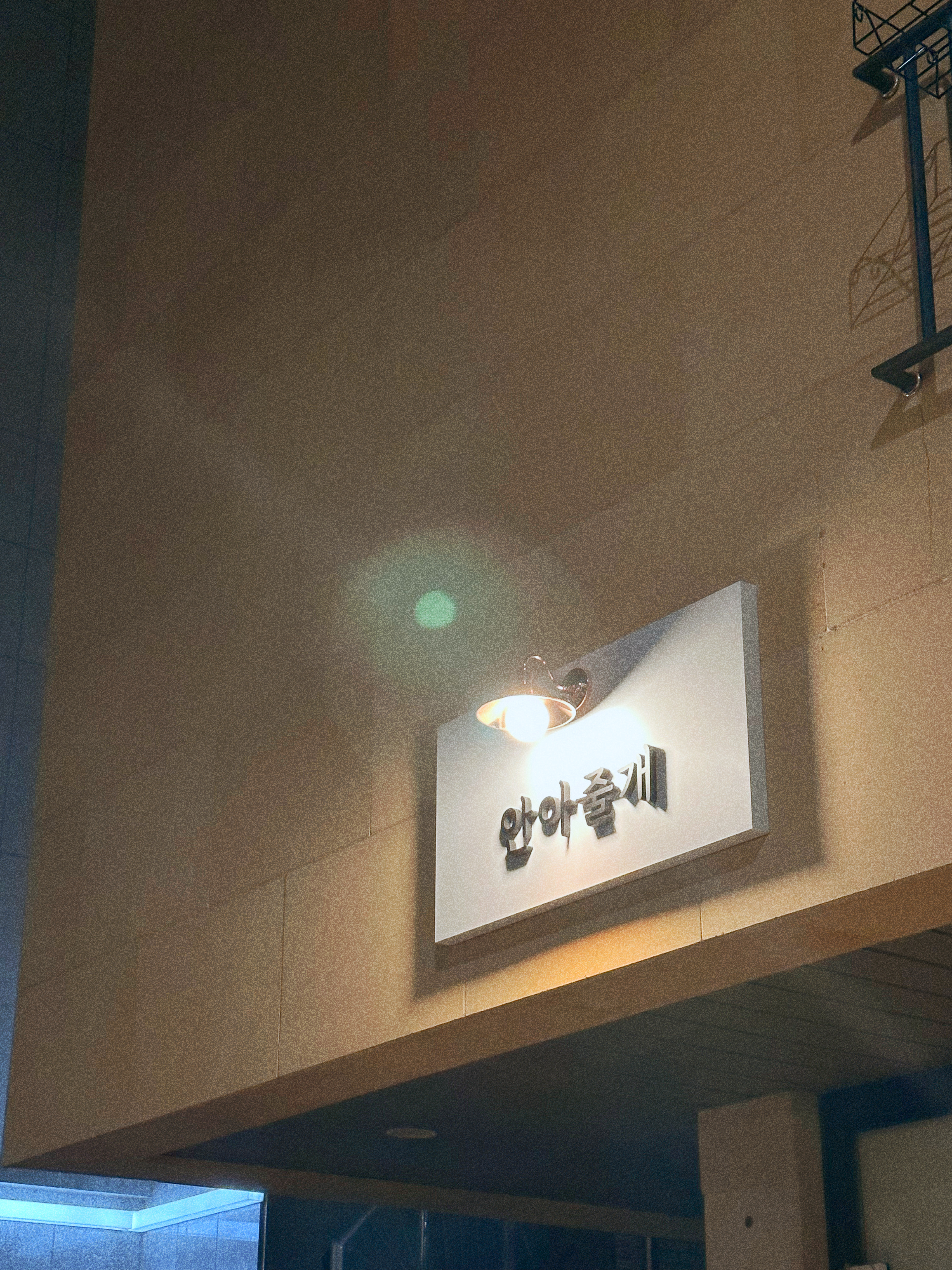 안아줄개